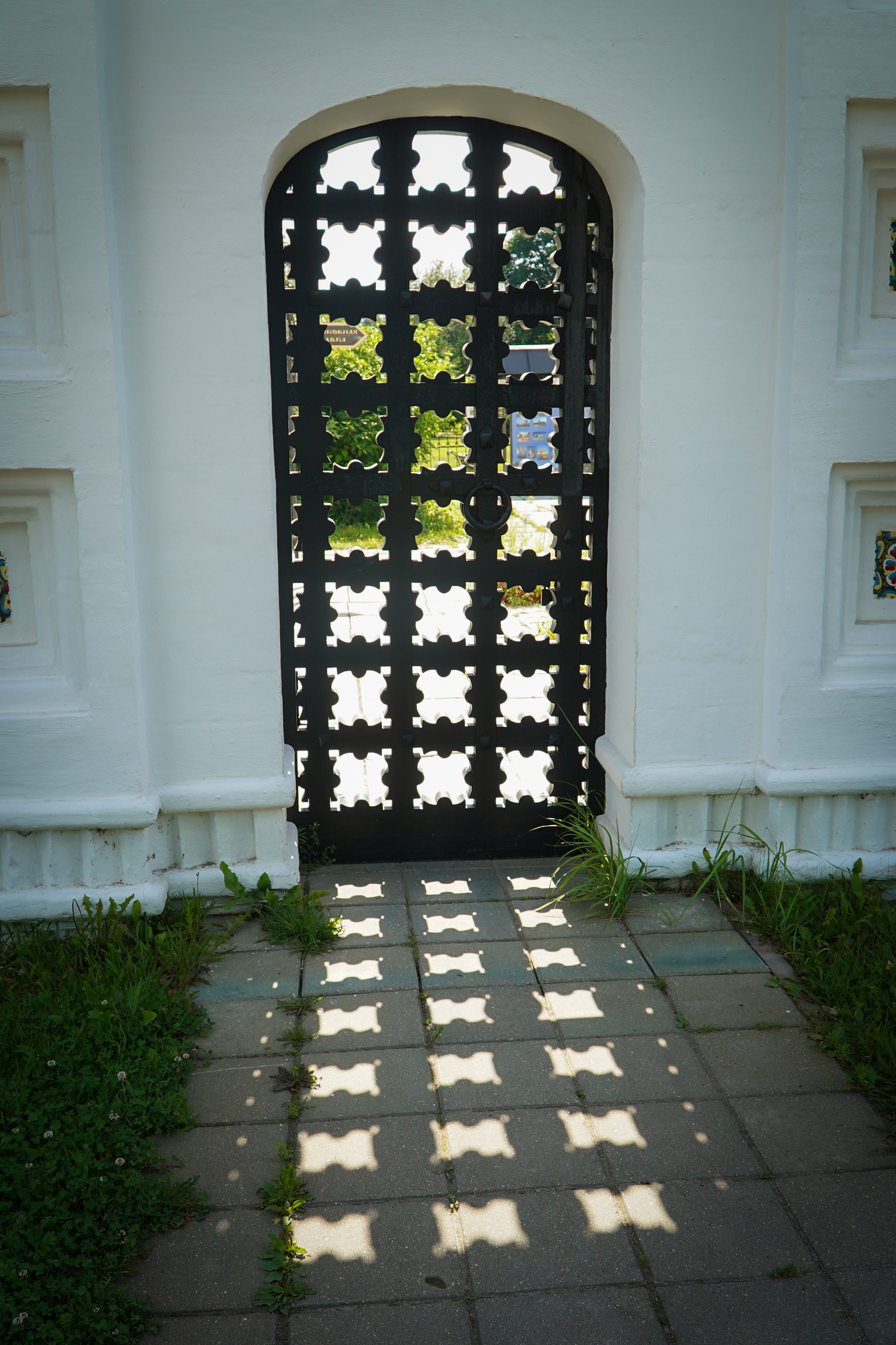 ВЕРЕЯ. Июль 2023. Фотограф Наталья Погодина в г. Обнинске