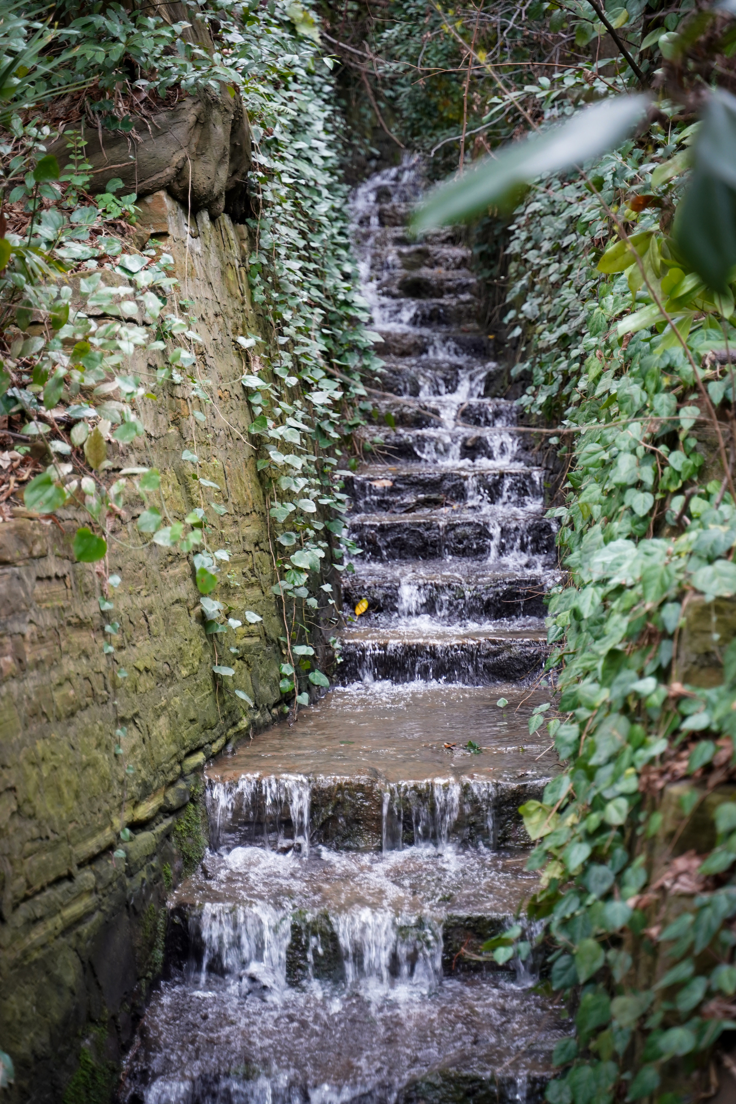 Фото Сочи 2023. Фотограф Наталья Погодина в г. Обнинске