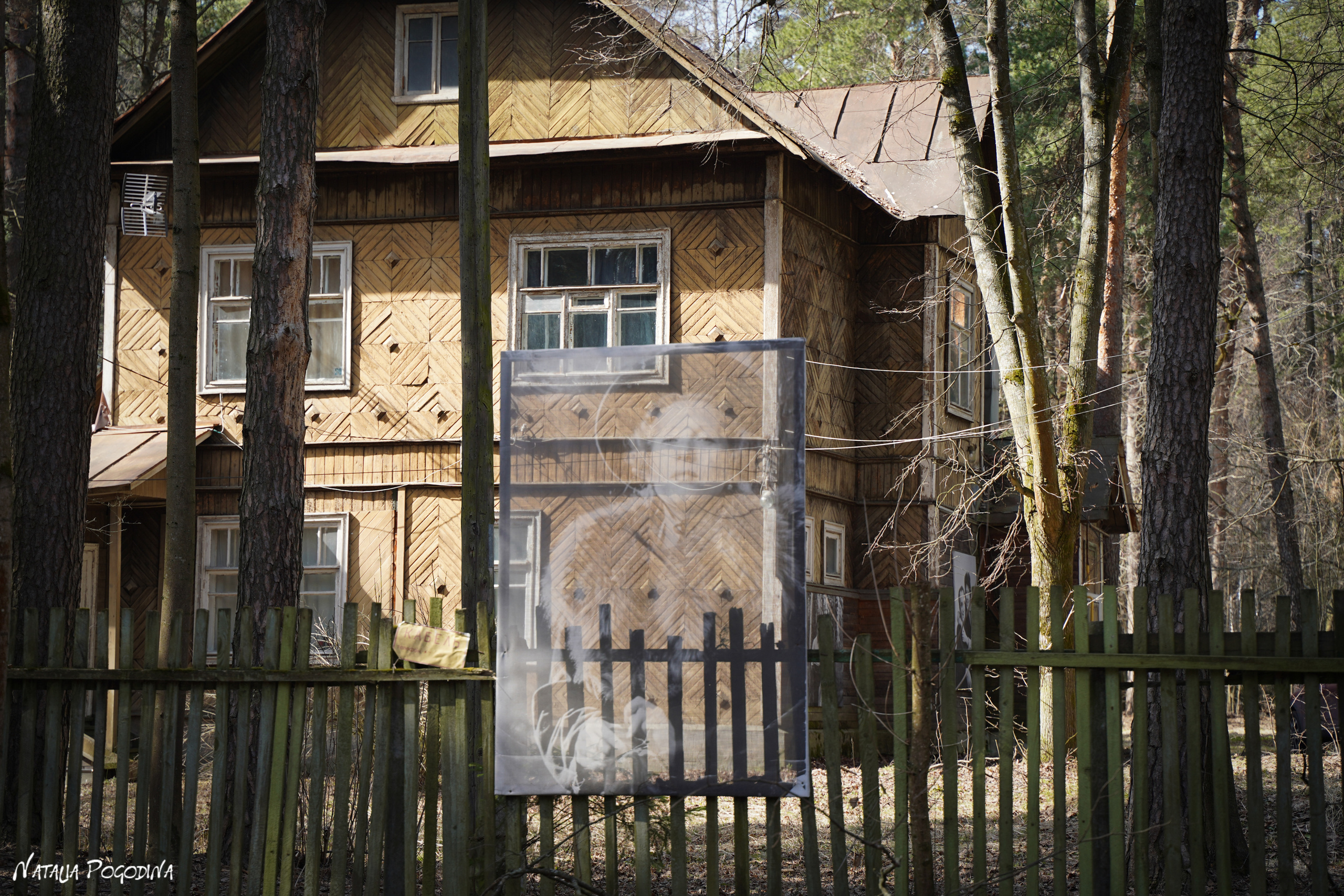 Фотопрогулка в Переделкино. Фотограф Наталья Погодина в г. Обнинске