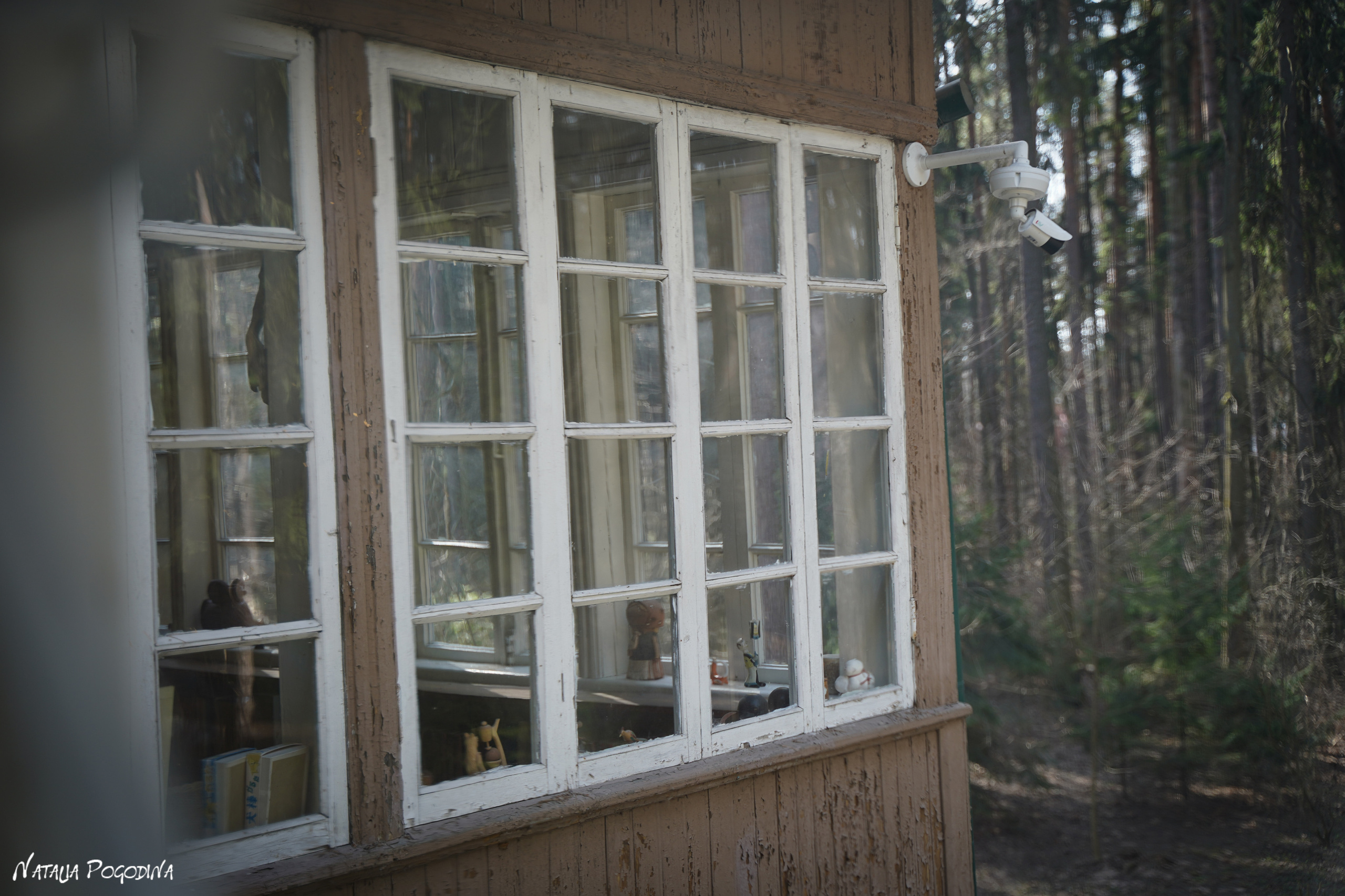 Фотопрогулка в Переделкино. Фотограф Наталья Погодина в г. Обнинске