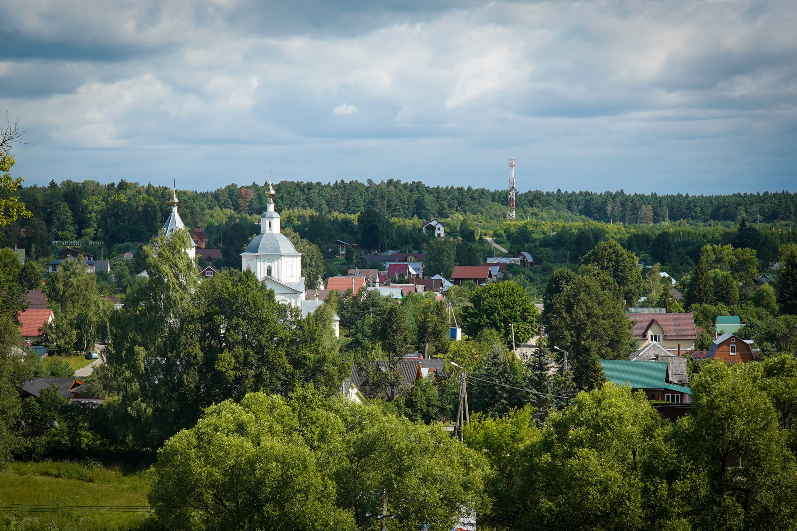 ВЕРЕЯ. Июль 2023. Фотограф Наталья Погодина в г. Обнинске