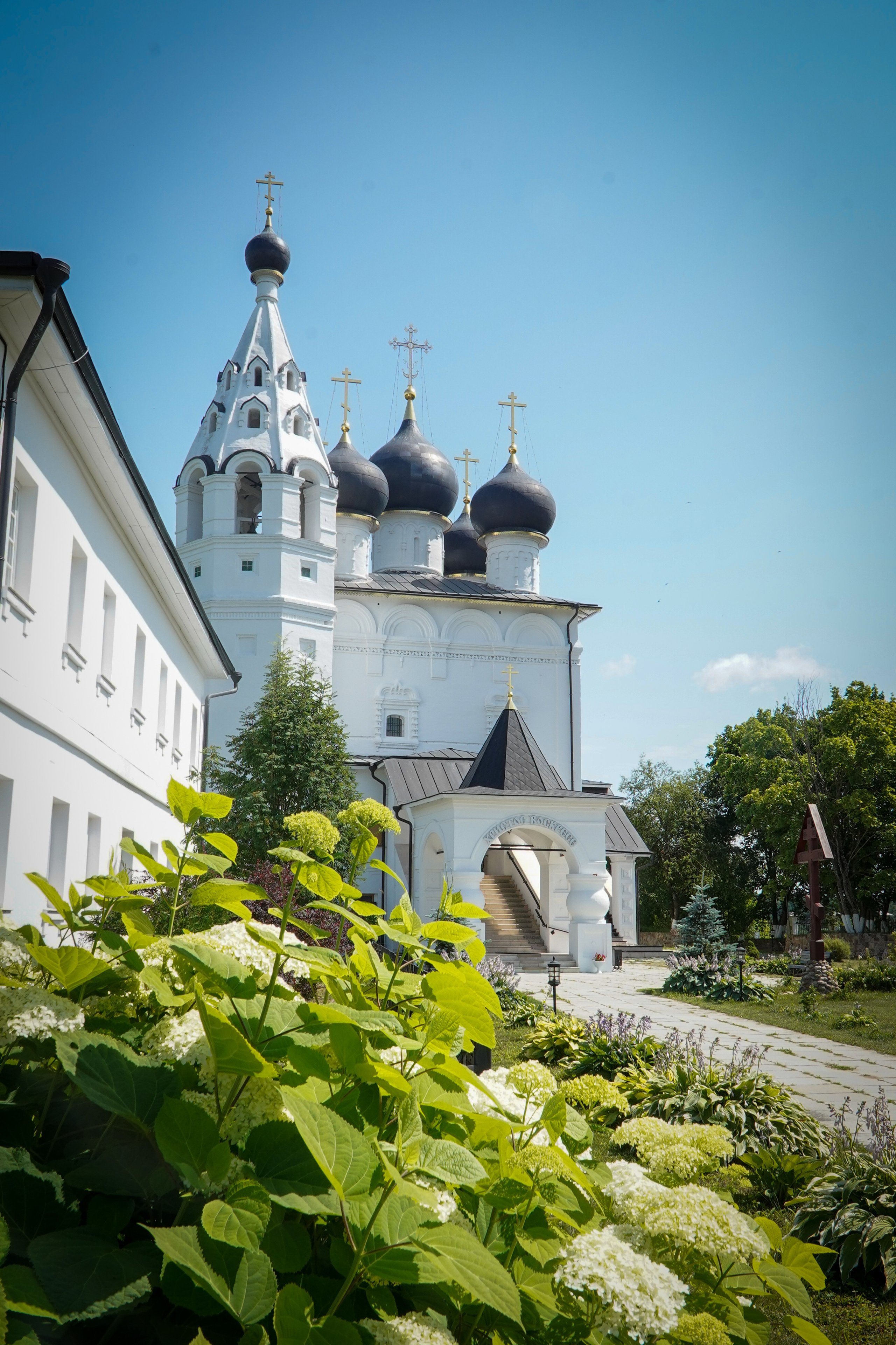 ВЕРЕЯ. Июль 2023. Фотограф Наталья Погодина в г. Обнинске
