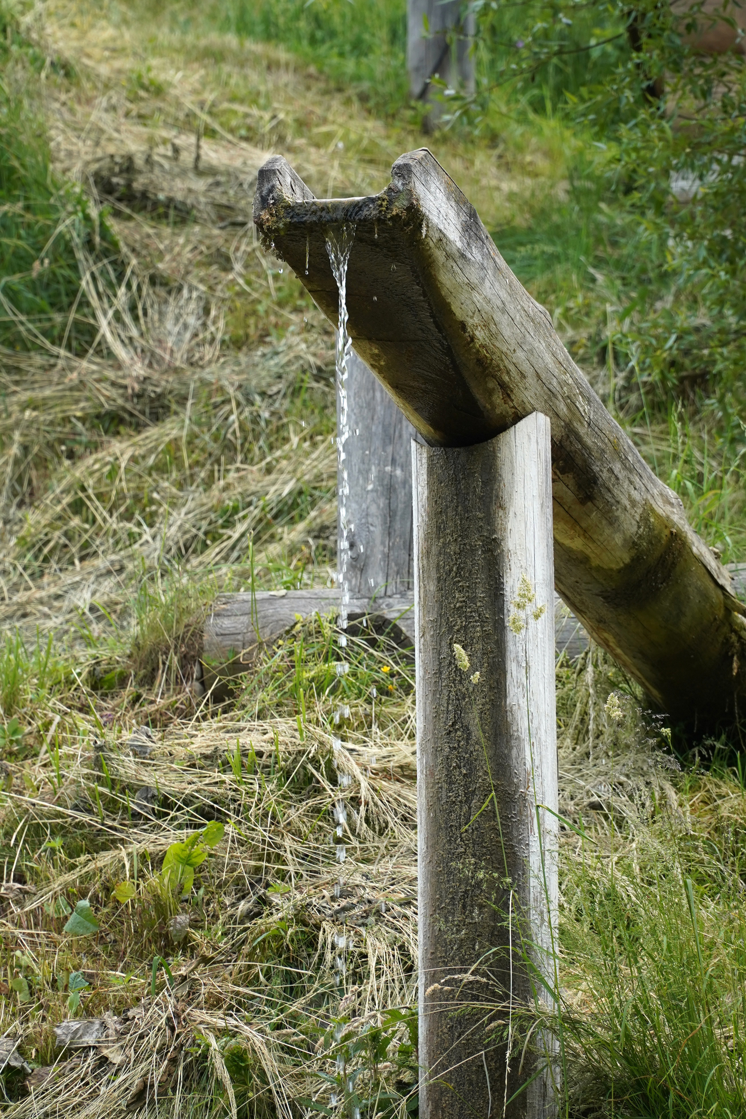 РУСИНОВО. Фотограф Наталья Погодина в г. Обнинске