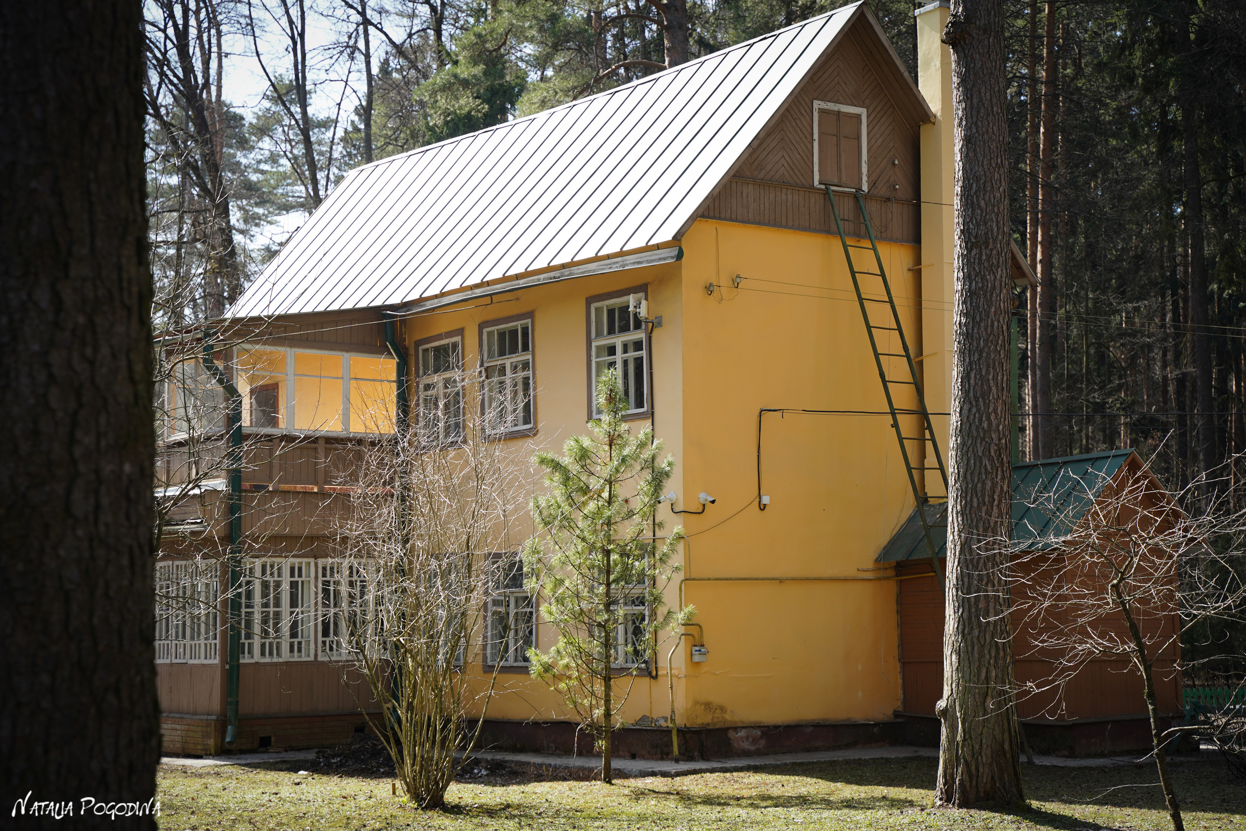 Фотопрогулка в Переделкино. Фотограф Наталья Погодина в г. Обнинске