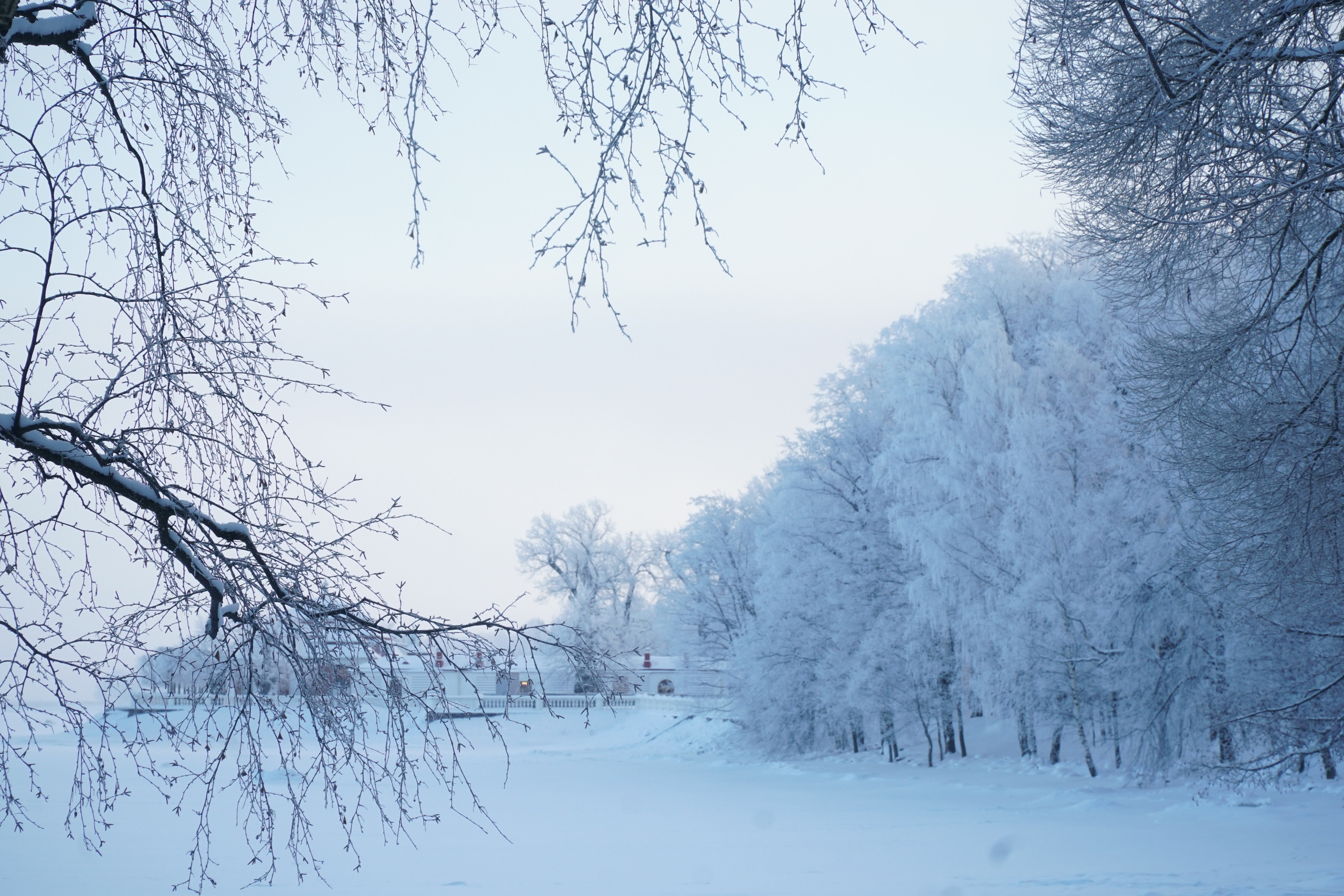 ПЕТЕРГОФ. Январь 2022. Фотограф Наталья Погодина в г. Обнинске