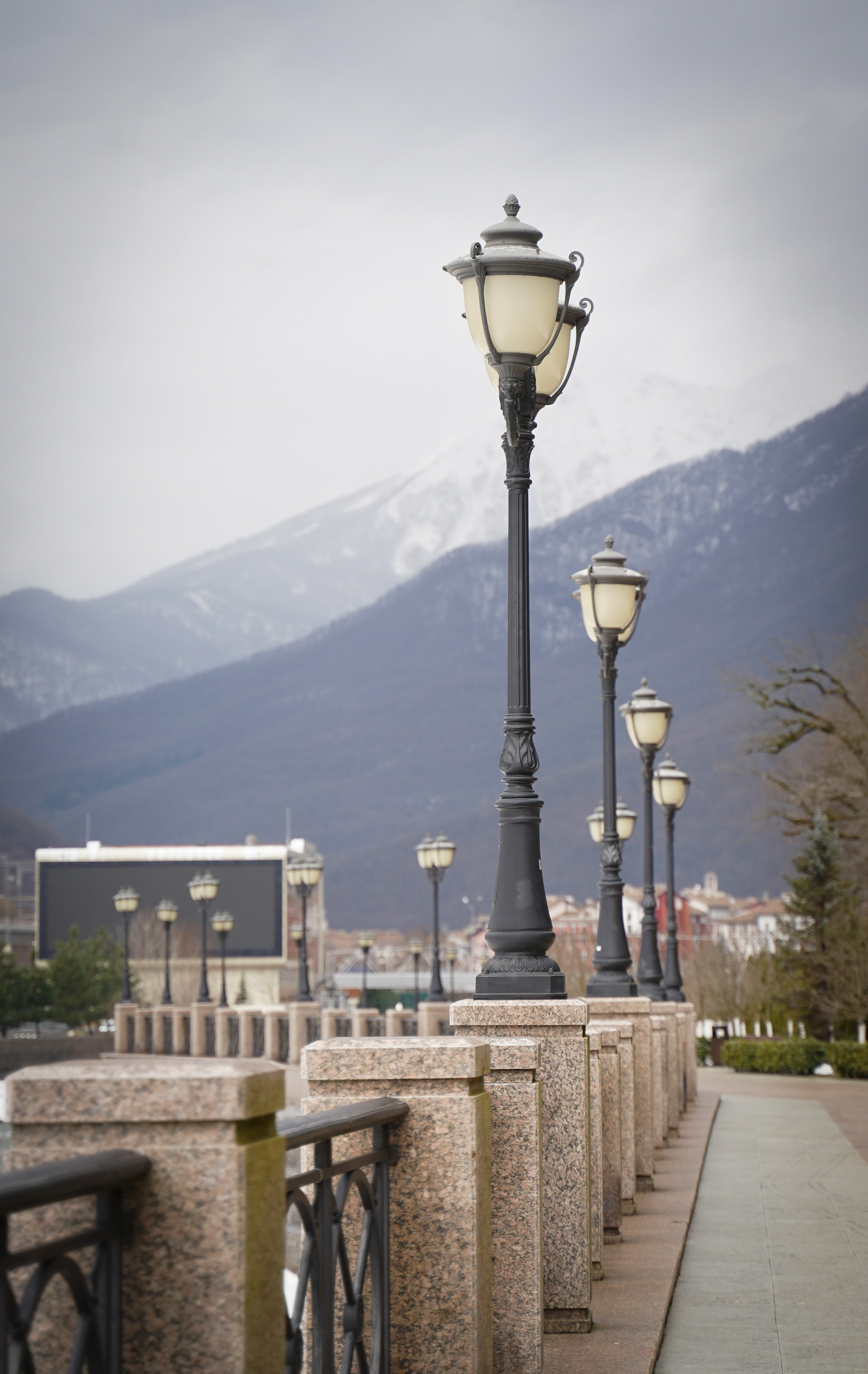 Фото Сочи 2023. Фотограф Наталья Погодина в г. Обнинске
