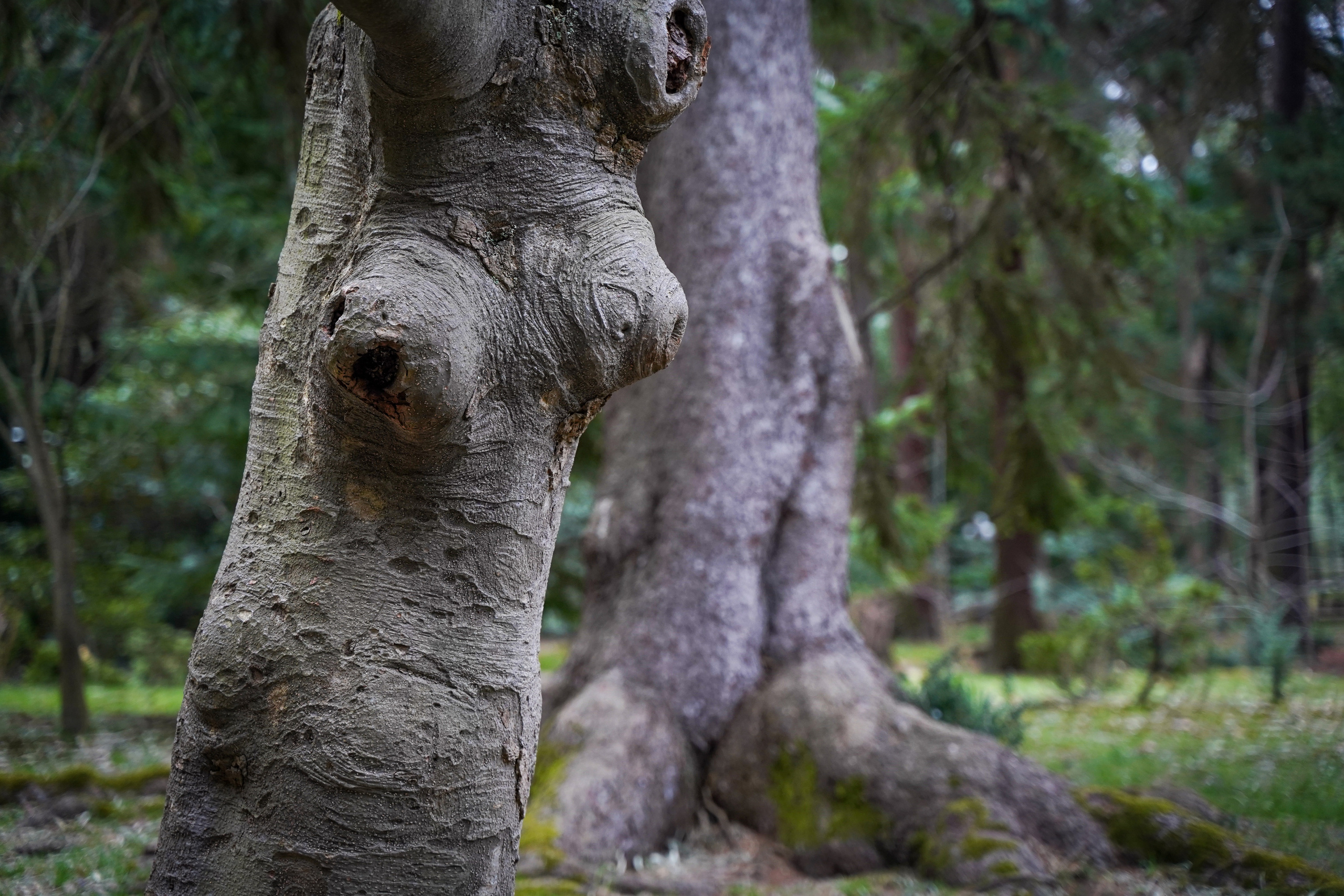 Фото Сочи 2023. Фотограф Наталья Погодина в г. Обнинске