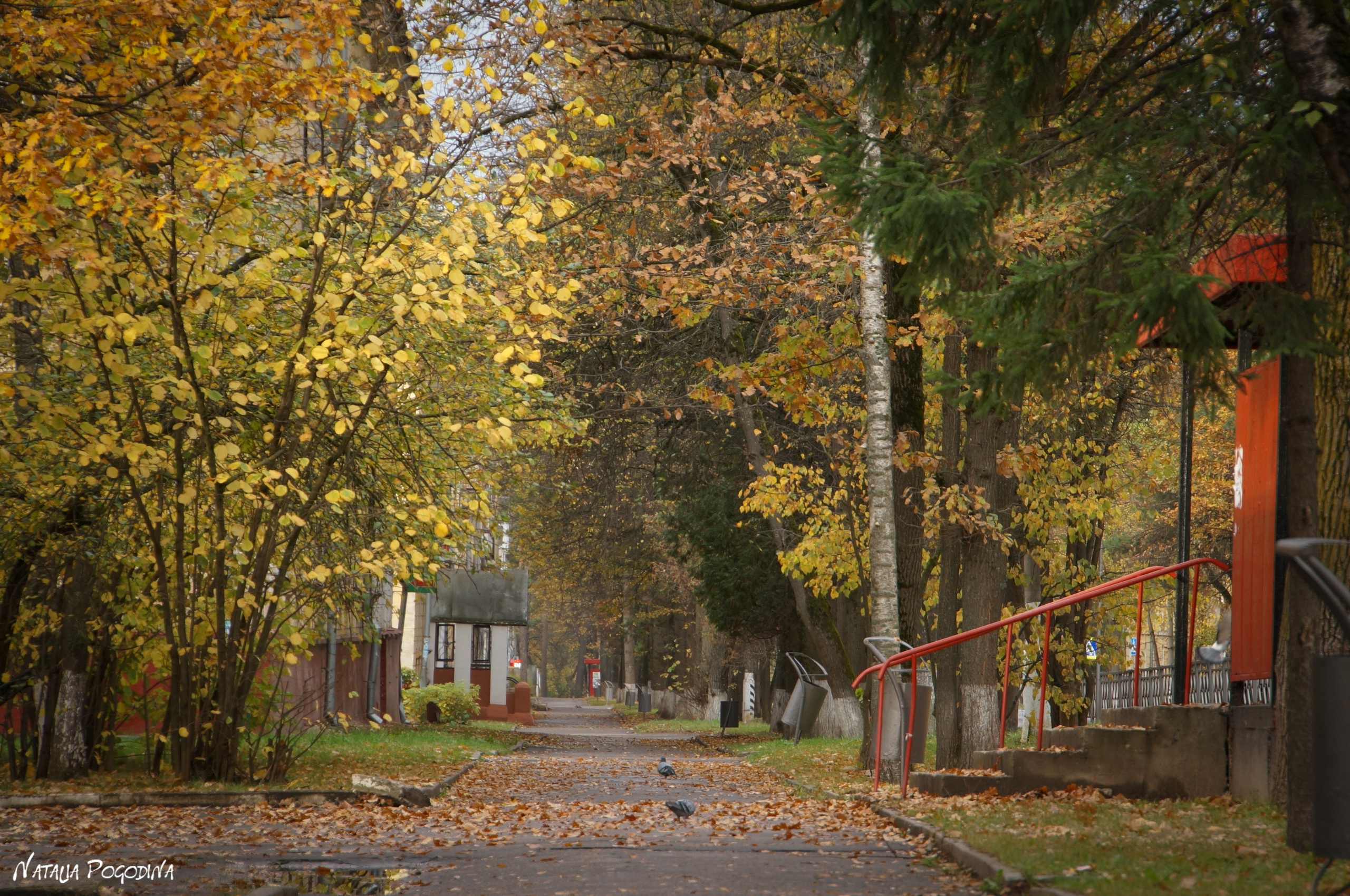 ОБНИНСК. Фотограф Наталья Погодина в г. Обнинске