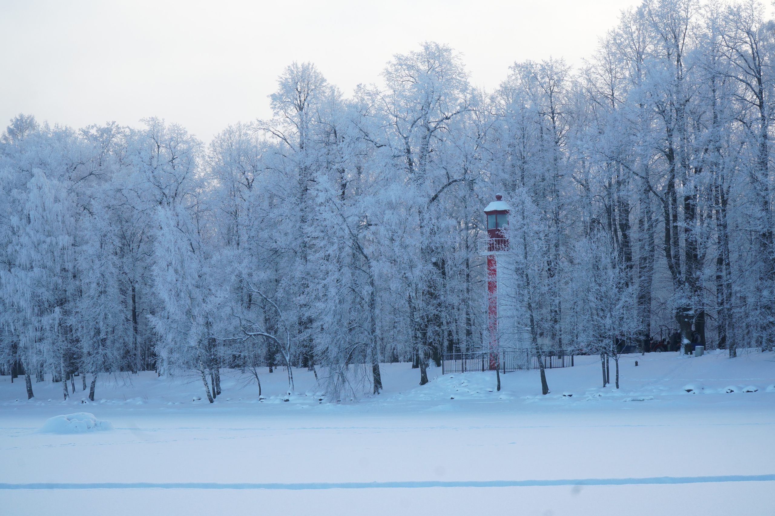 ПЕТЕРГОФ. Январь 2022. Фотограф Наталья Погодина в г. Обнинске