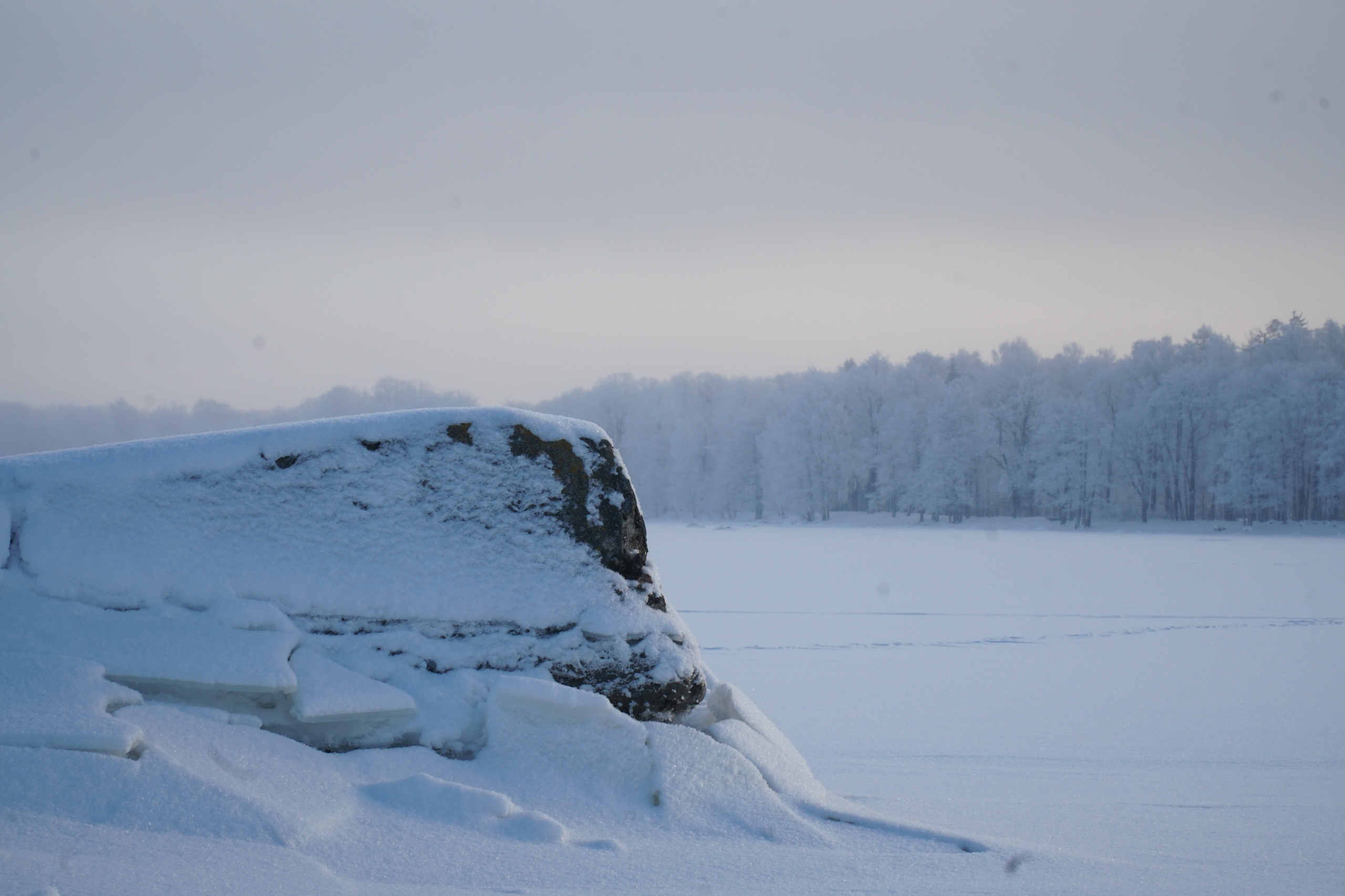 ПЕТЕРГОФ. Январь 2022. Фотограф Наталья Погодина в г. Обнинске