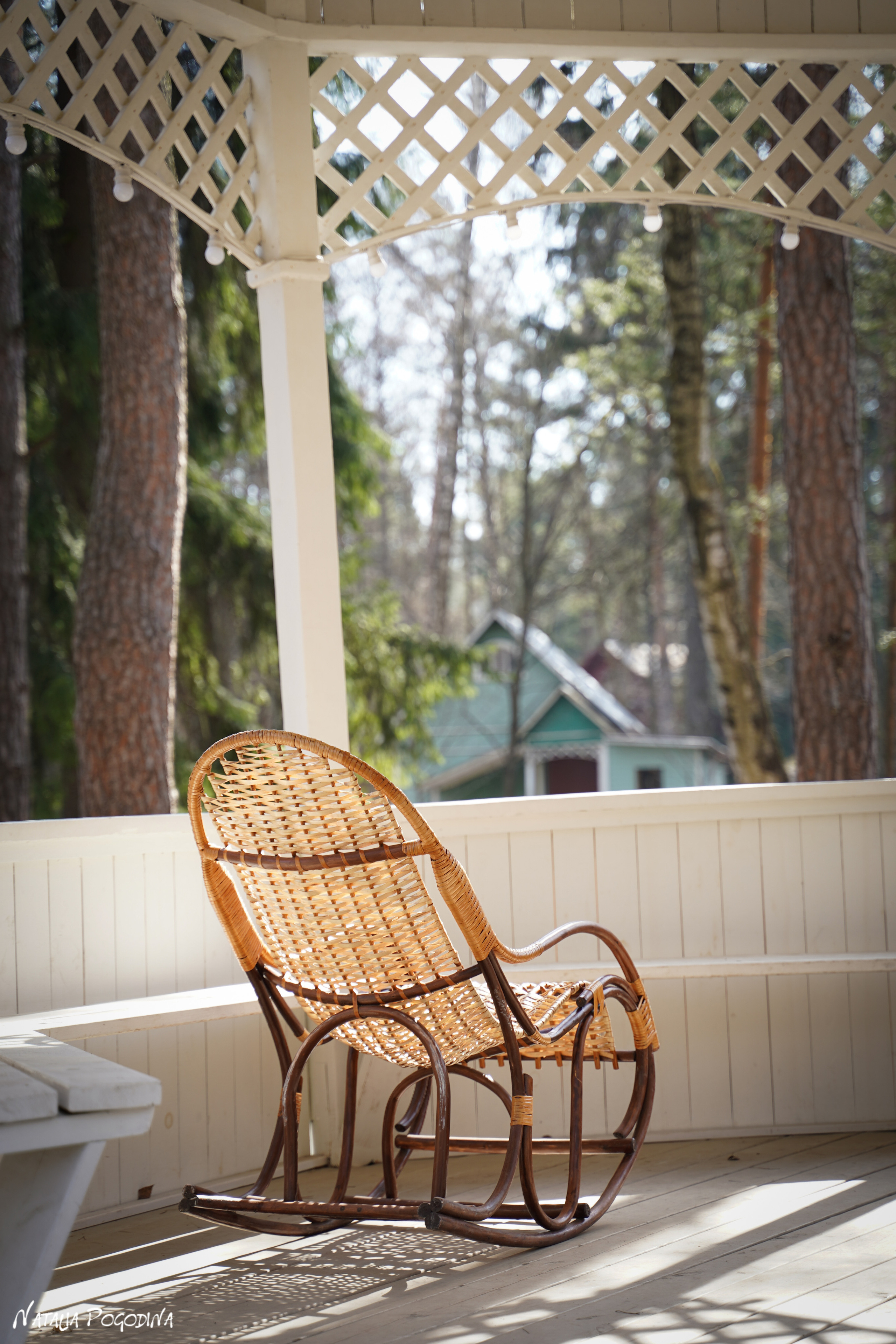 Фотопрогулка в Переделкино. Фотограф Наталья Погодина в г. Обнинске