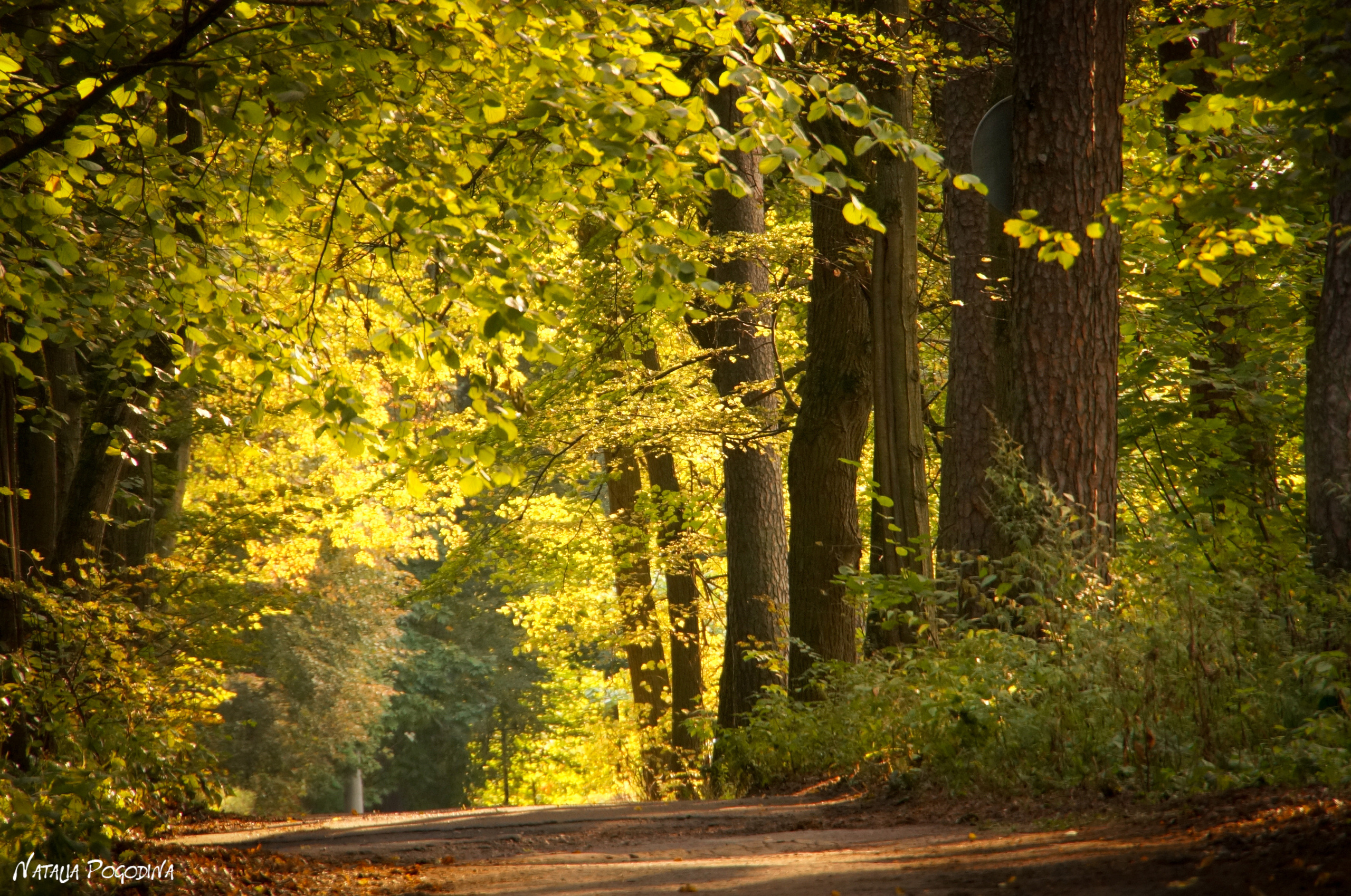ОБНИНСК. Фотограф Наталья Погодина в г. Обнинске