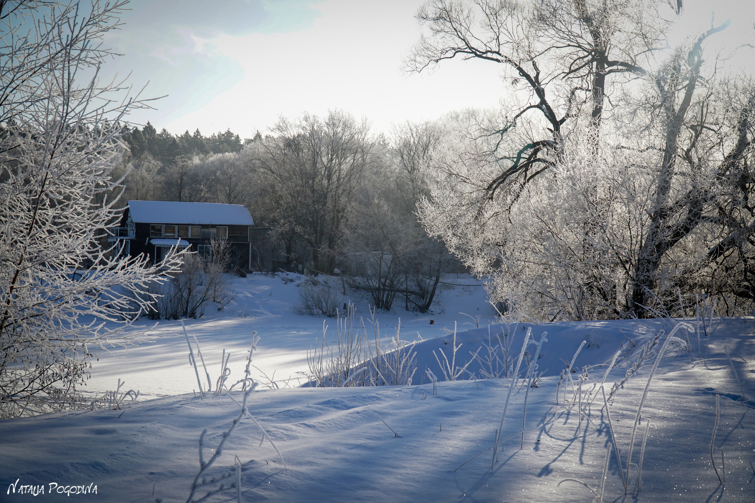 ОБНИНСК. Фотограф Наталья Погодина в г. Обнинске