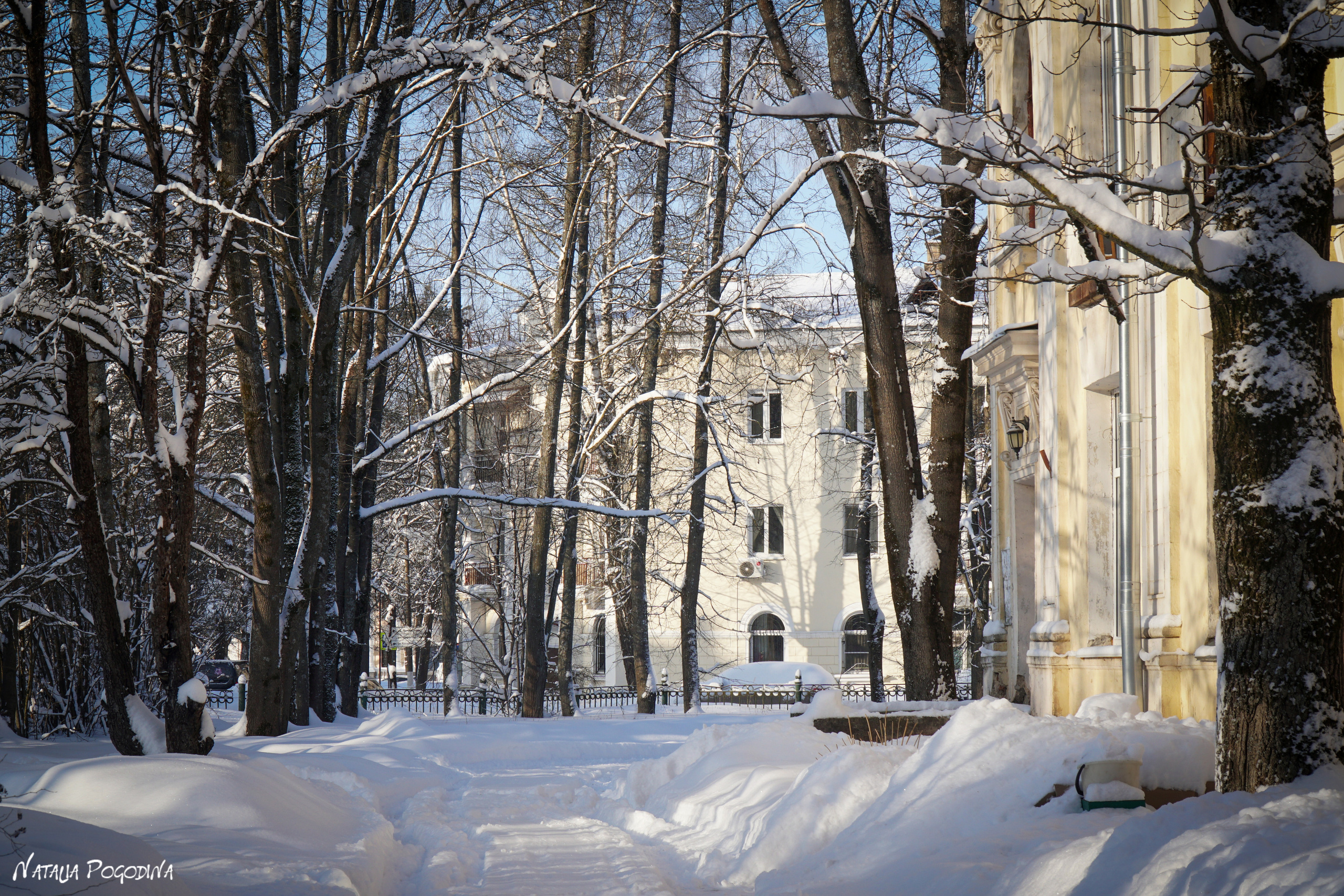ОБНИНСК. Фотограф Наталья Погодина в г. Обнинске