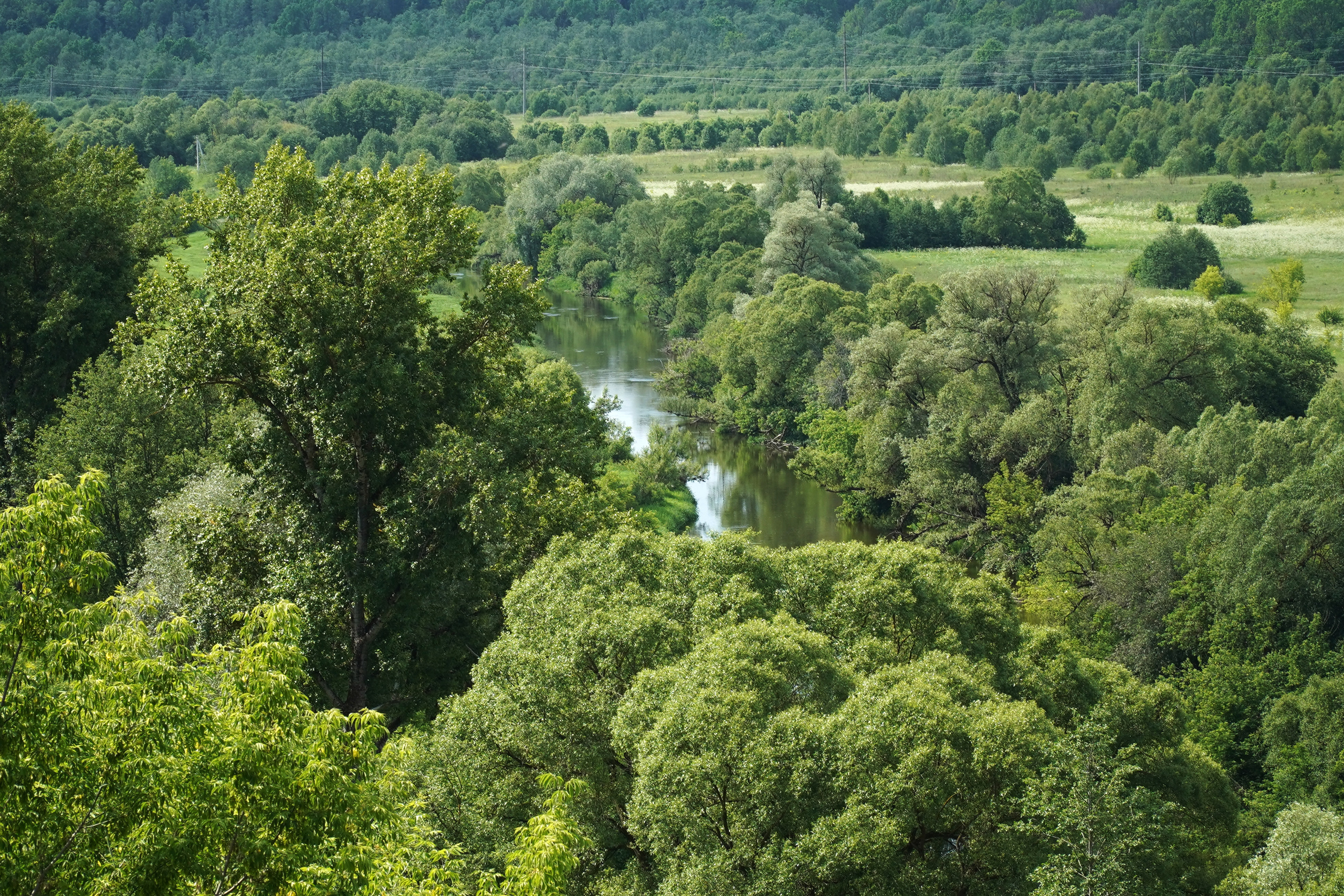 РУСИНОВО. Фотограф Наталья Погодина в г. Обнинске