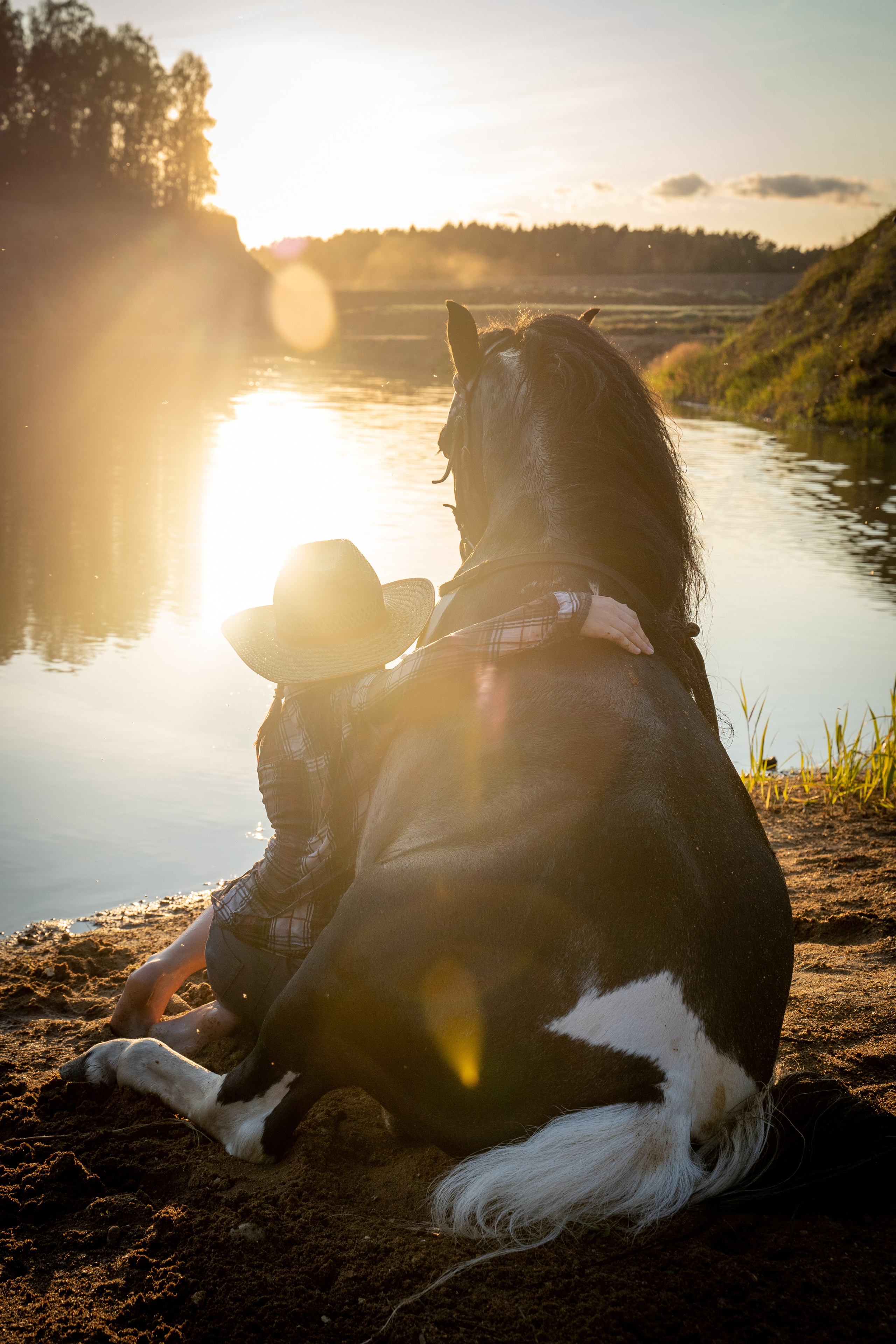 Фотосъемка с лошадью. Анималист фотограф. Фотосессия с лошадью на закате