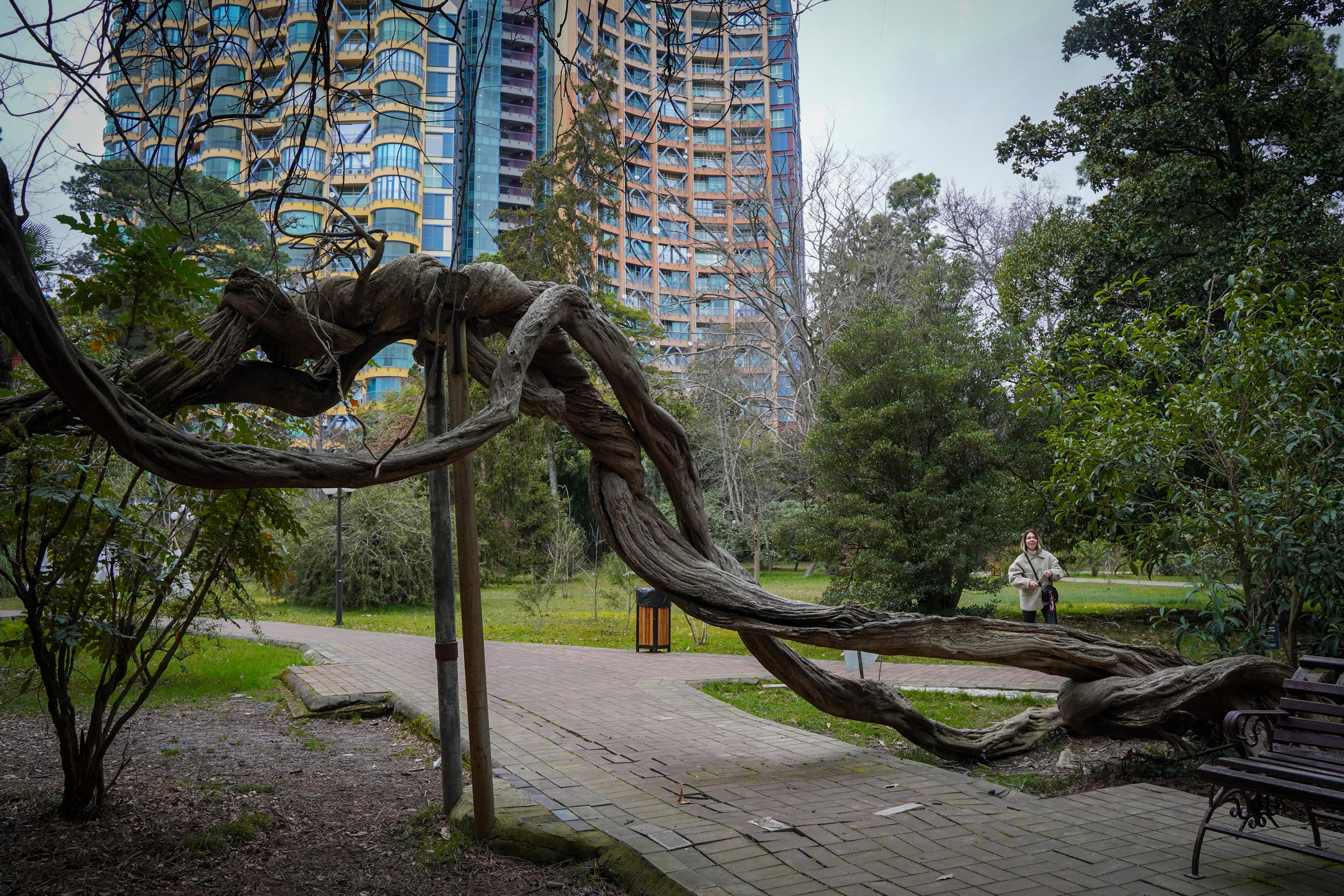 Фото Сочи 2023. Фотограф Наталья Погодина в г. Обнинске
