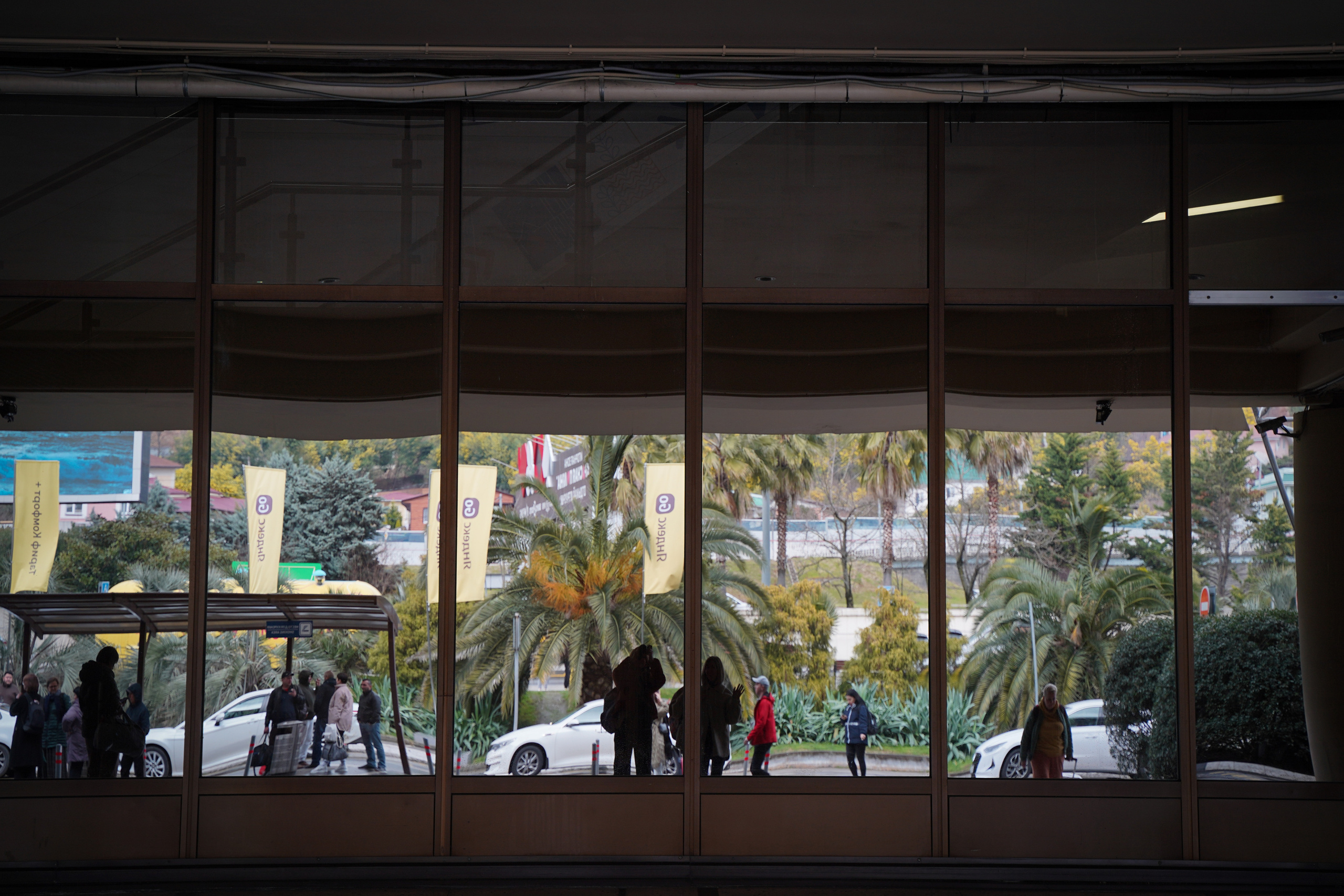 Фото Сочи 2023. Фотограф Наталья Погодина в г. Обнинске