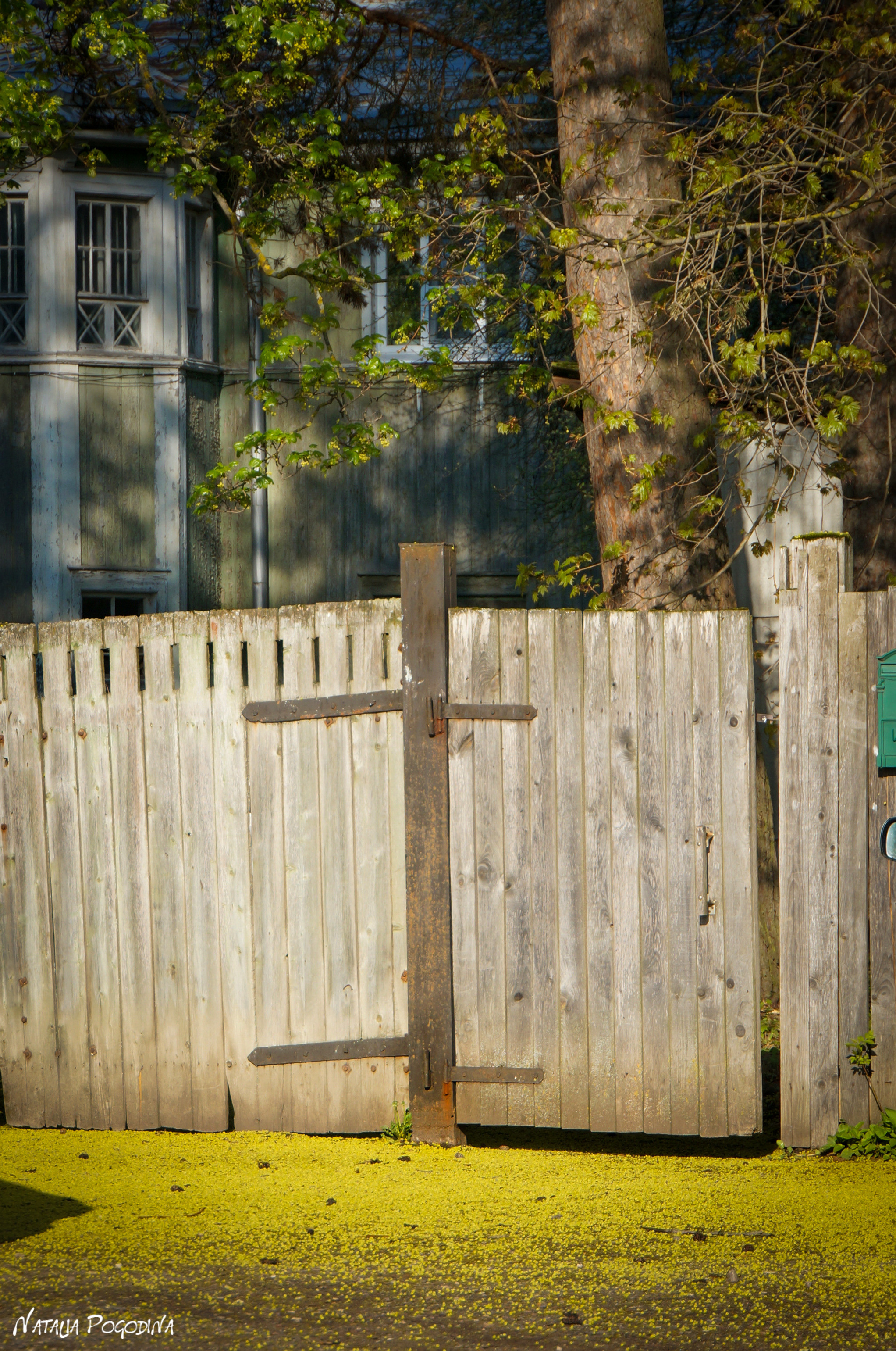 ОБНИНСК. Фотограф Наталья Погодина в г. Обнинске