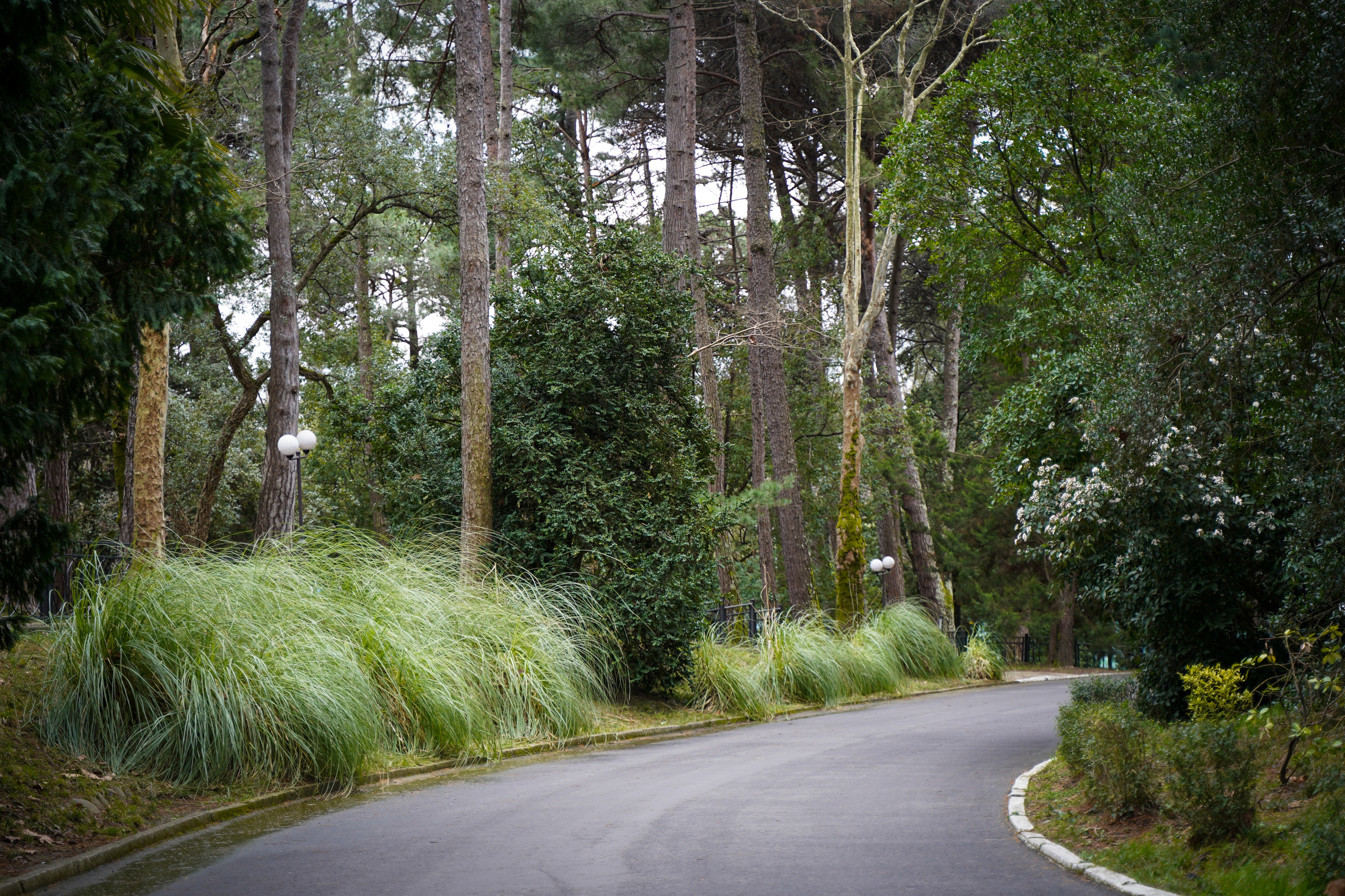 Фото Сочи 2023. Фотограф Наталья Погодина в г. Обнинске