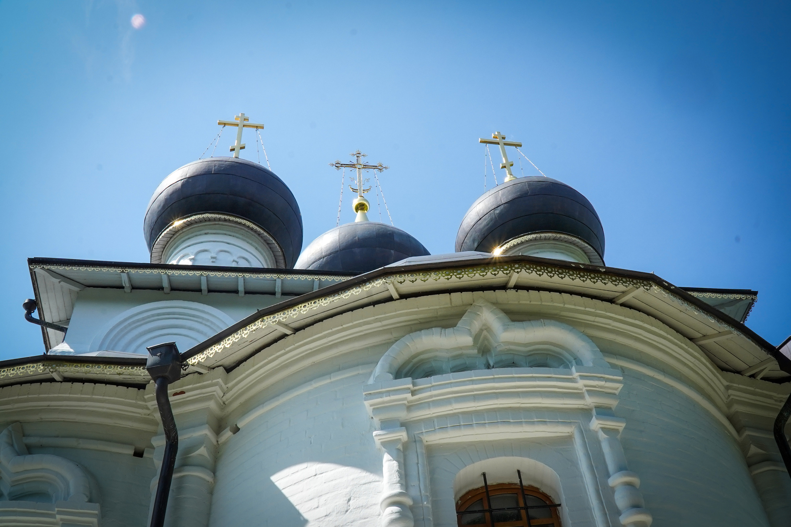 ВЕРЕЯ. Июль 2023. Фотограф Наталья Погодина в г. Обнинске