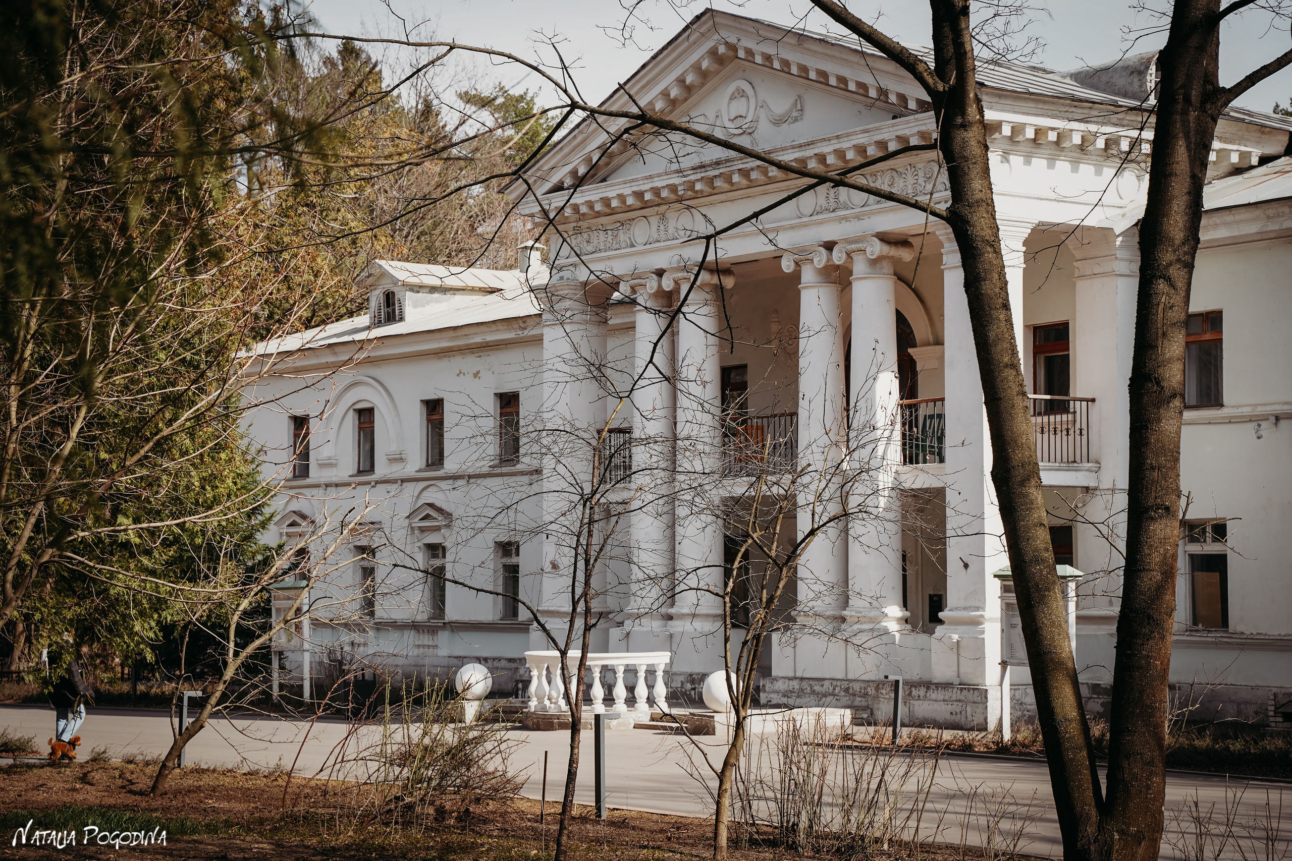 Фотопрогулка в Переделкино. Фотограф Наталья Погодина в г. Обнинске