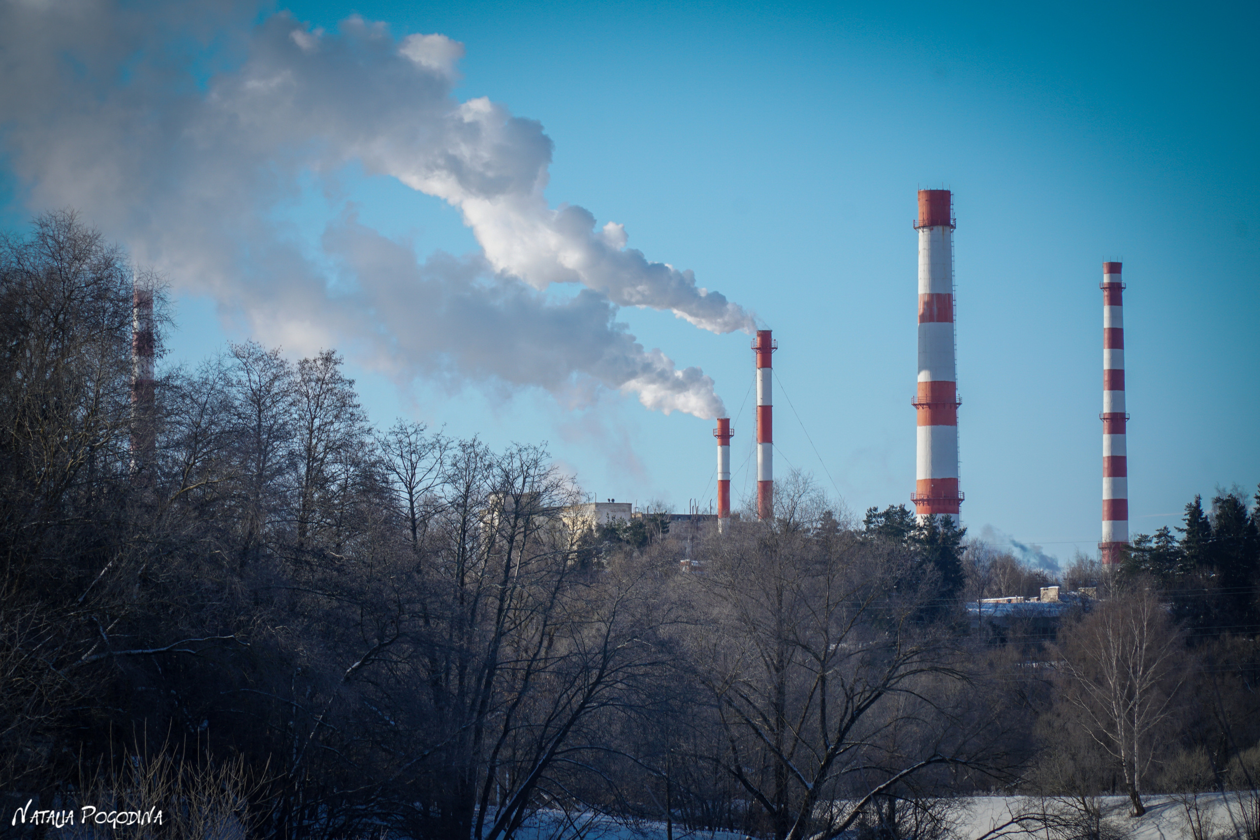 ОБНИНСК. Фотограф Наталья Погодина в г. Обнинске