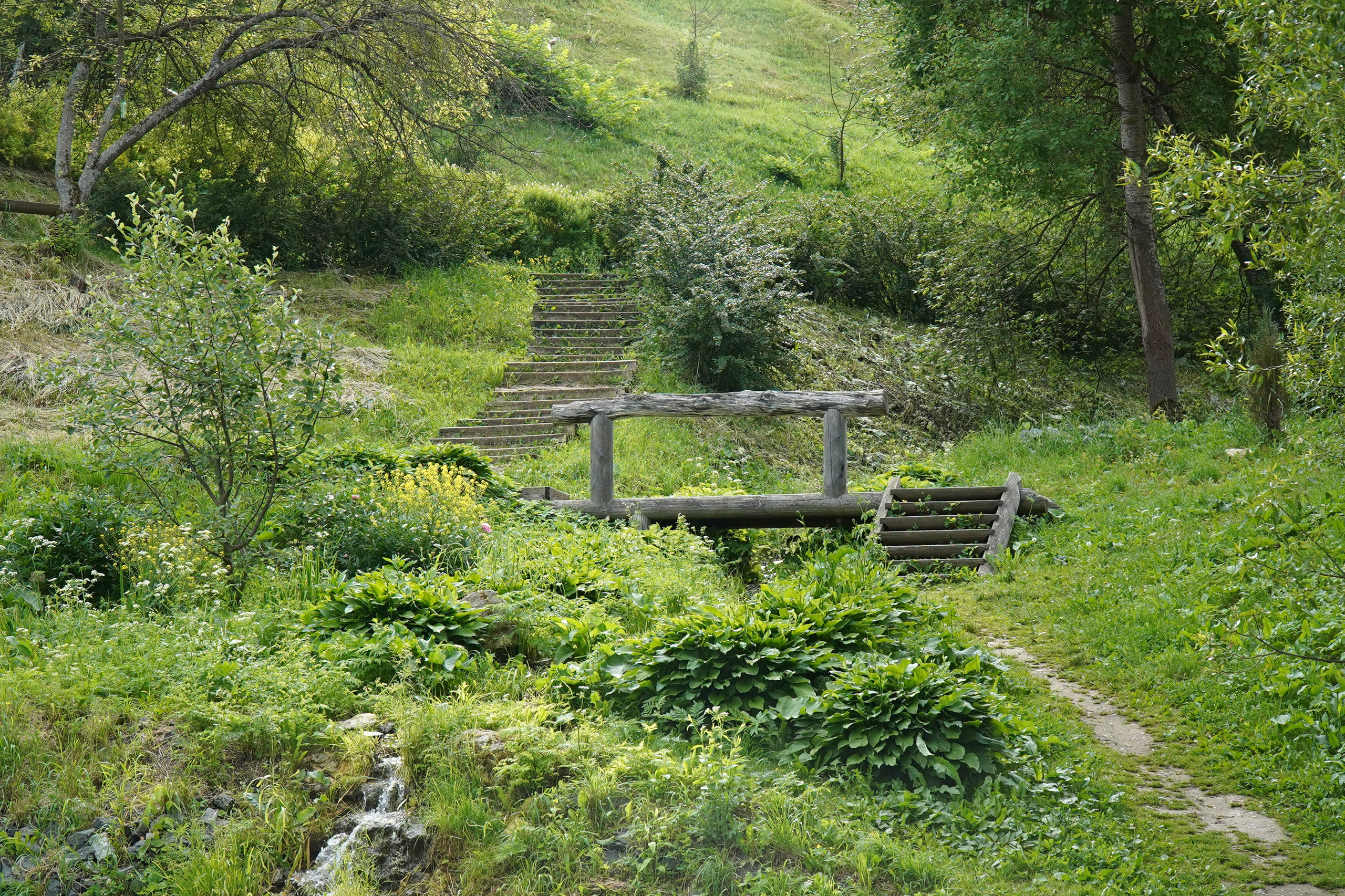 РУСИНОВО. Фотограф Наталья Погодина в г. Обнинске