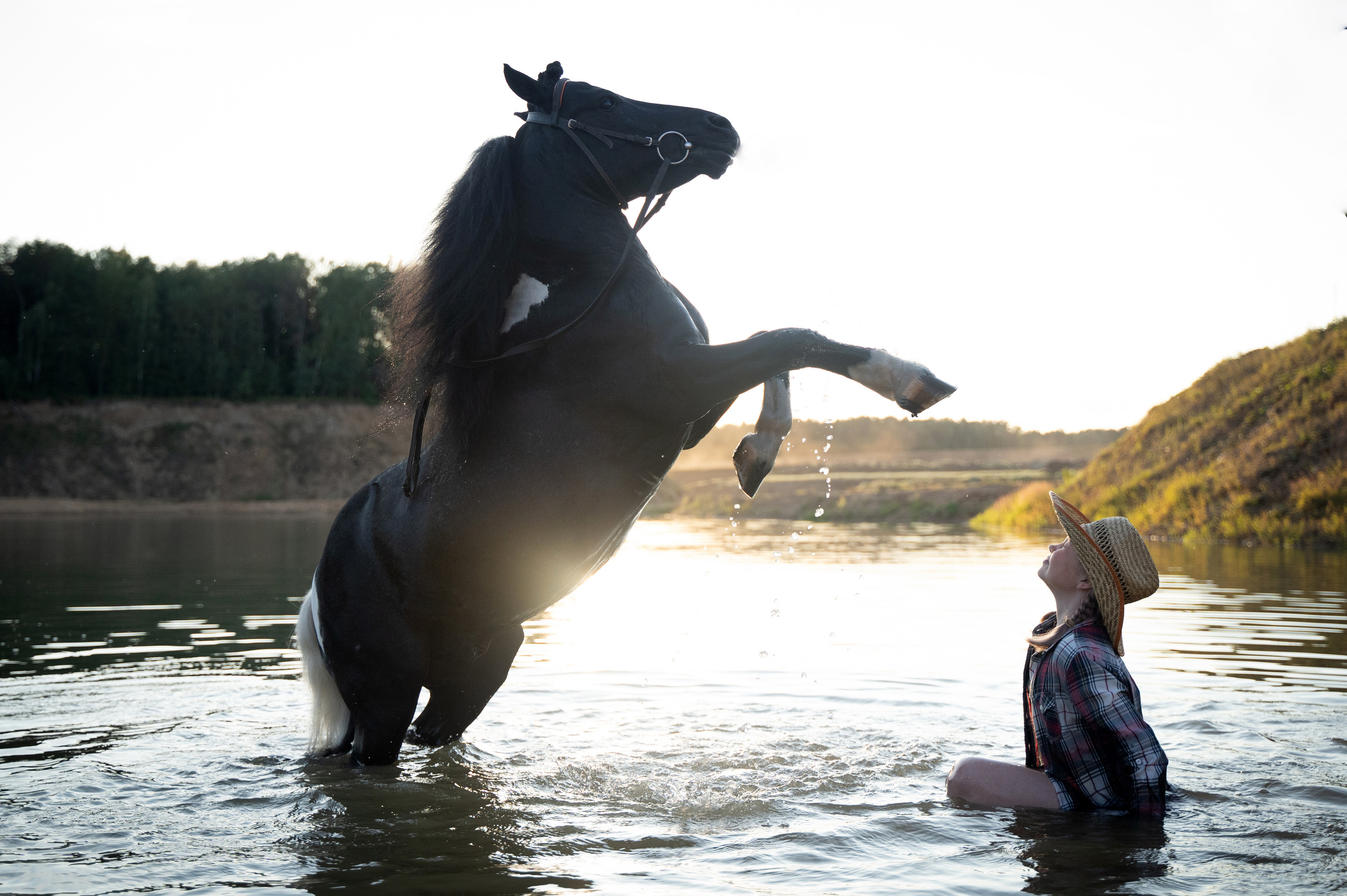 Фотосъемка с лошадью. Анималист фотограф. Фотосессия с лошадью на закате