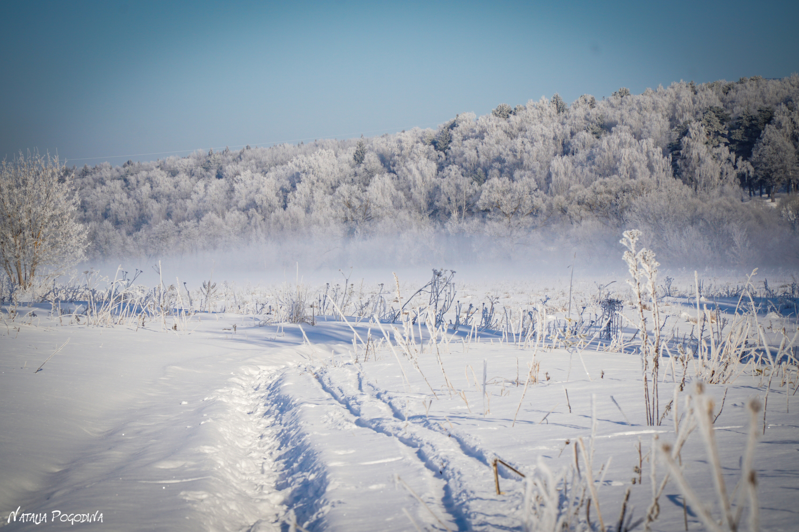 ОБНИНСК. Фотограф Наталья Погодина в г. Обнинске