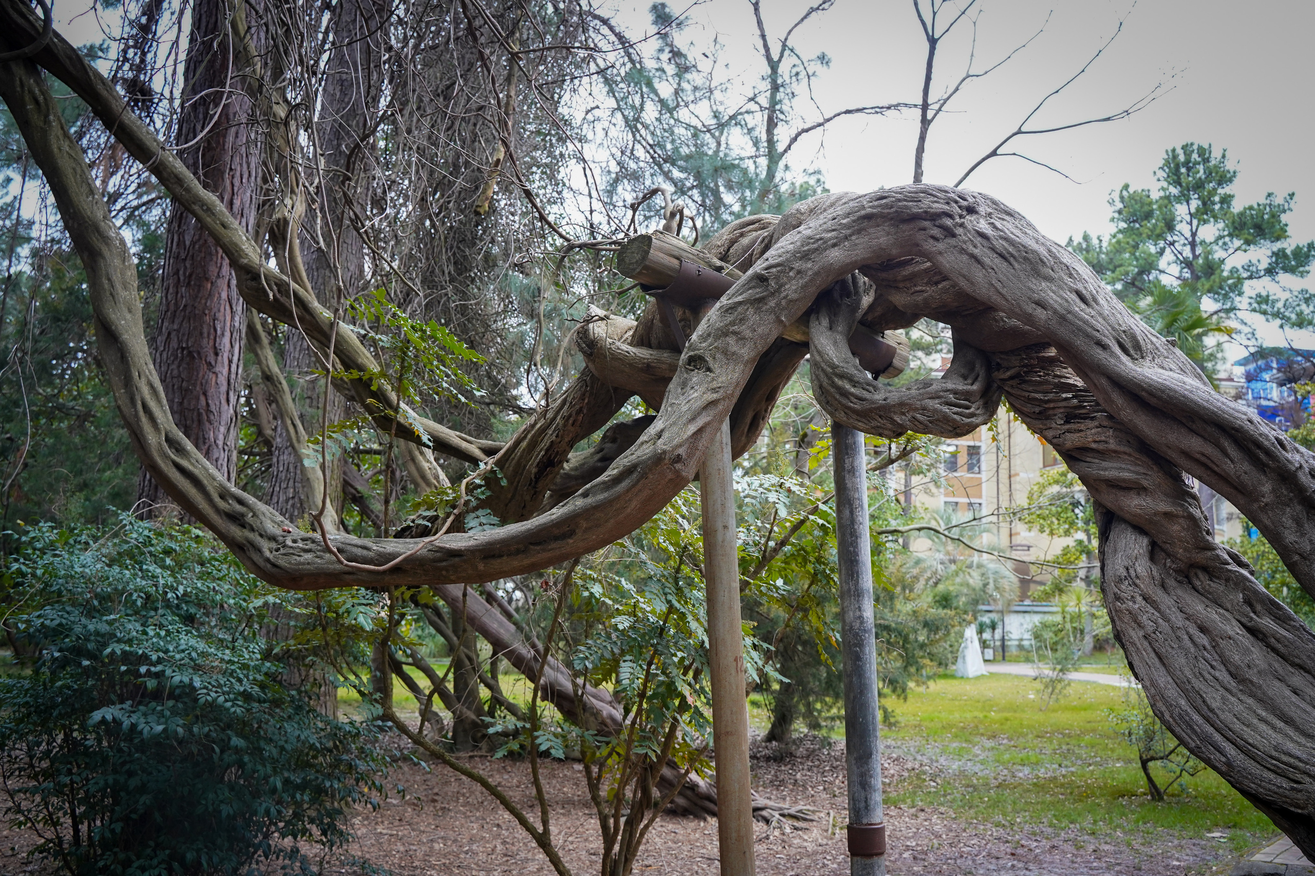 Фото Сочи 2023. Фотограф Наталья Погодина в г. Обнинске