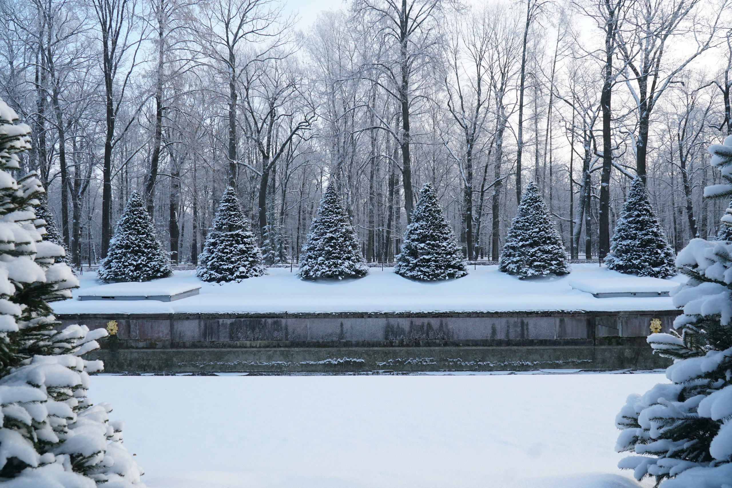 ПЕТЕРГОФ. Январь 2022. Фотограф Наталья Погодина в г. Обнинске