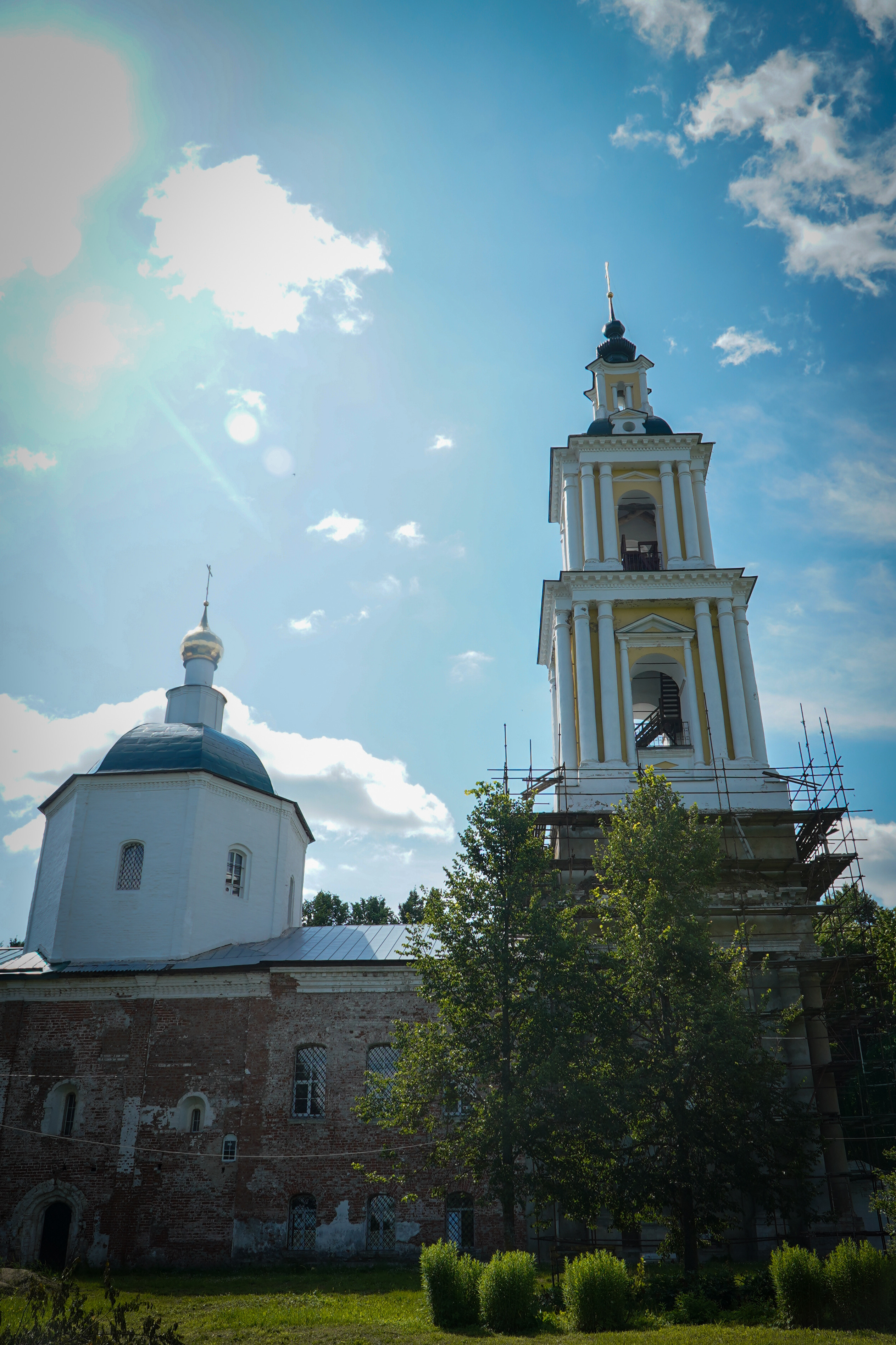 ВЕРЕЯ. Июль 2023. Фотограф Наталья Погодина в г. Обнинске