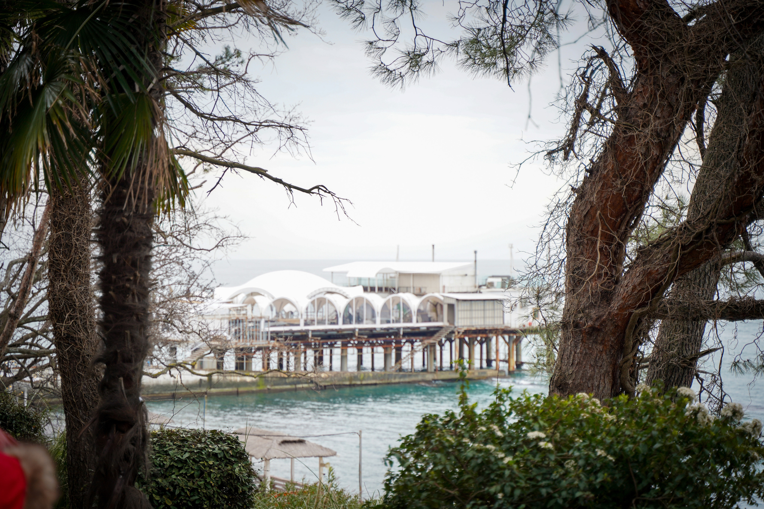 Фото Сочи 2023. Фотограф Наталья Погодина в г. Обнинске