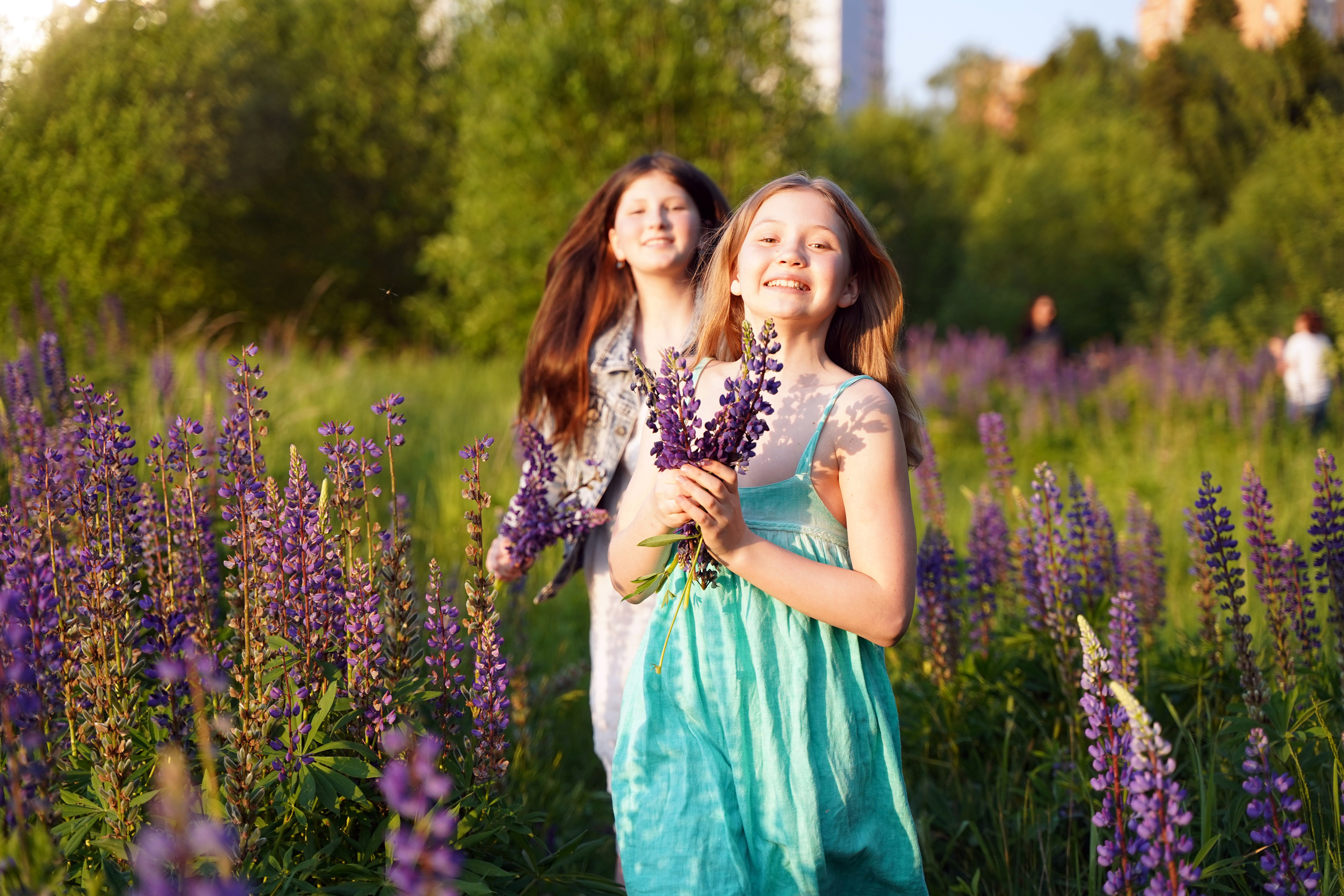 В ЛЮПИНАХ. Фотограф Наталья Погодина в г. Обнинске