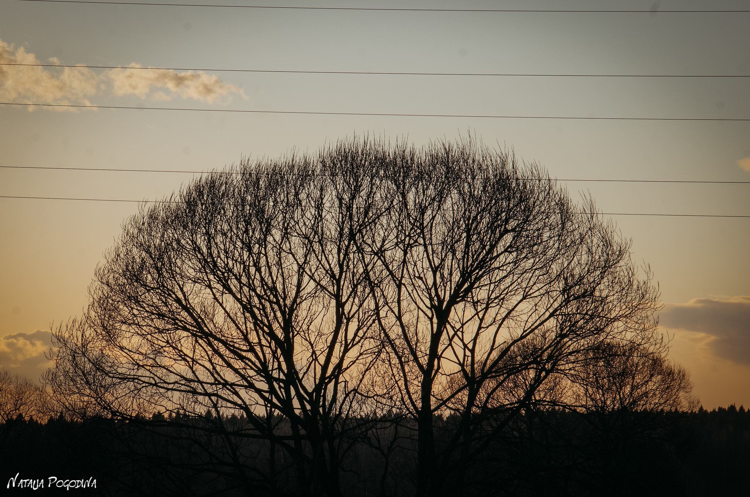 ОБНИНСК. Фотограф Наталья Погодина в г. Обнинске