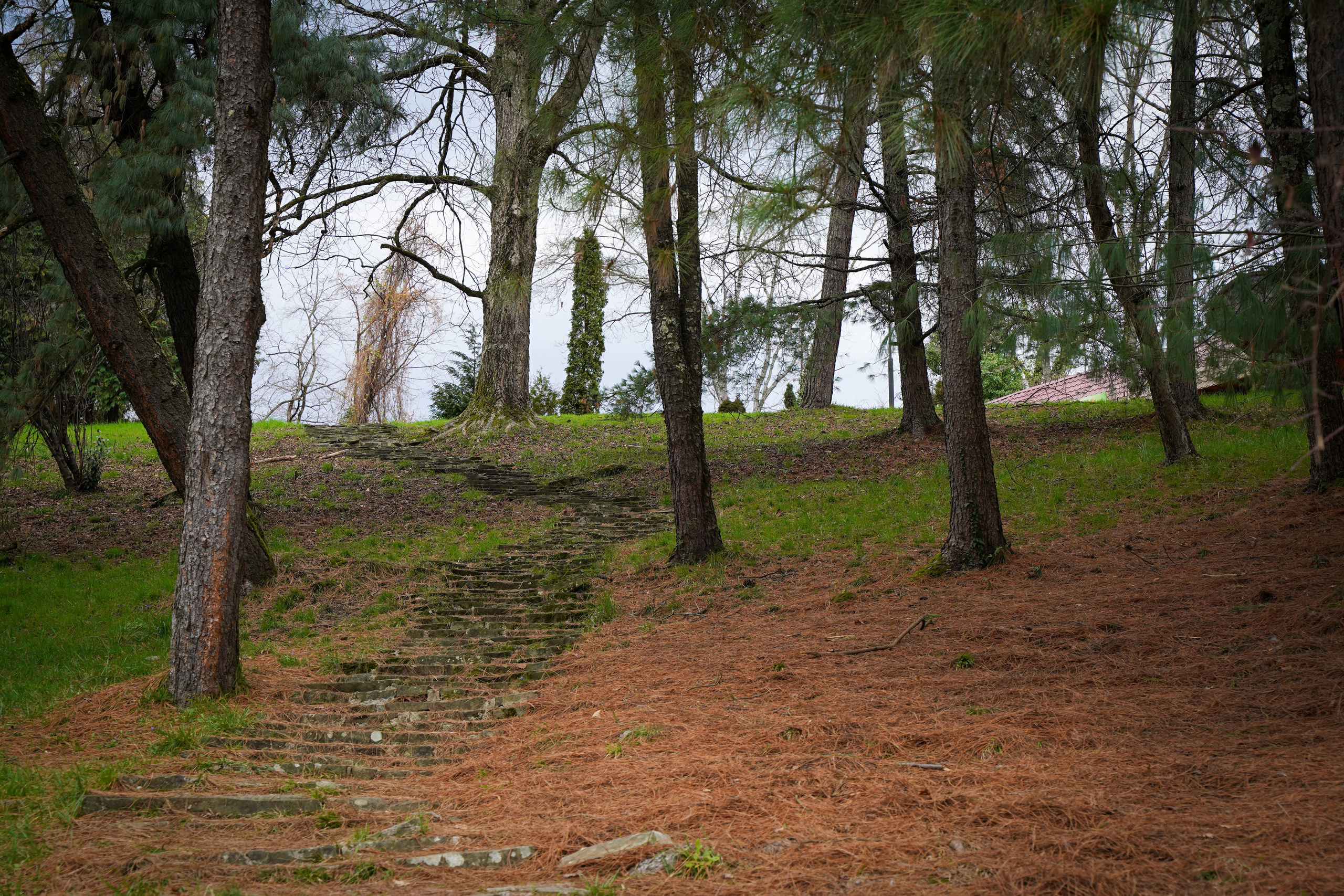 Фото Сочи 2023. Фотограф Наталья Погодина в г. Обнинске