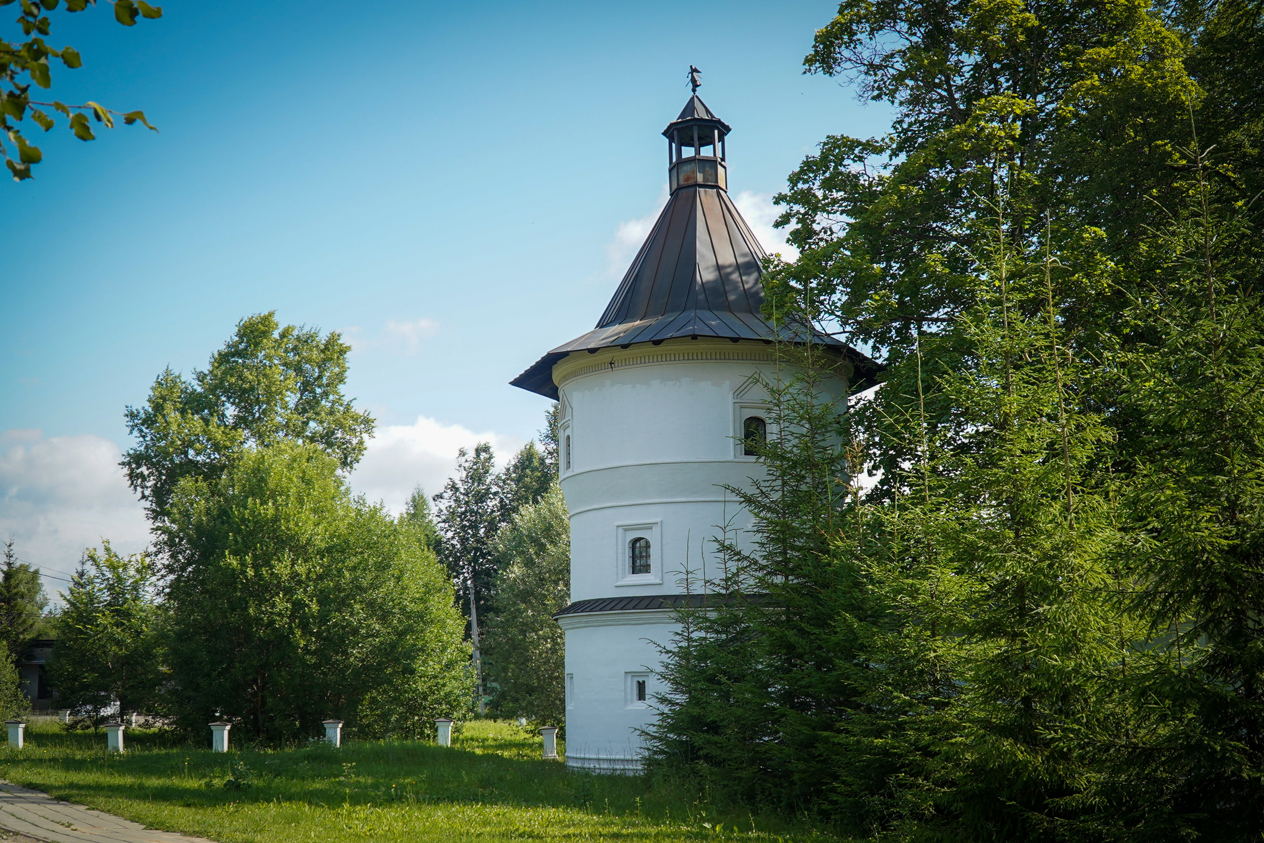 ВЕРЕЯ. Июль 2023. Фотограф Наталья Погодина в г. Обнинске