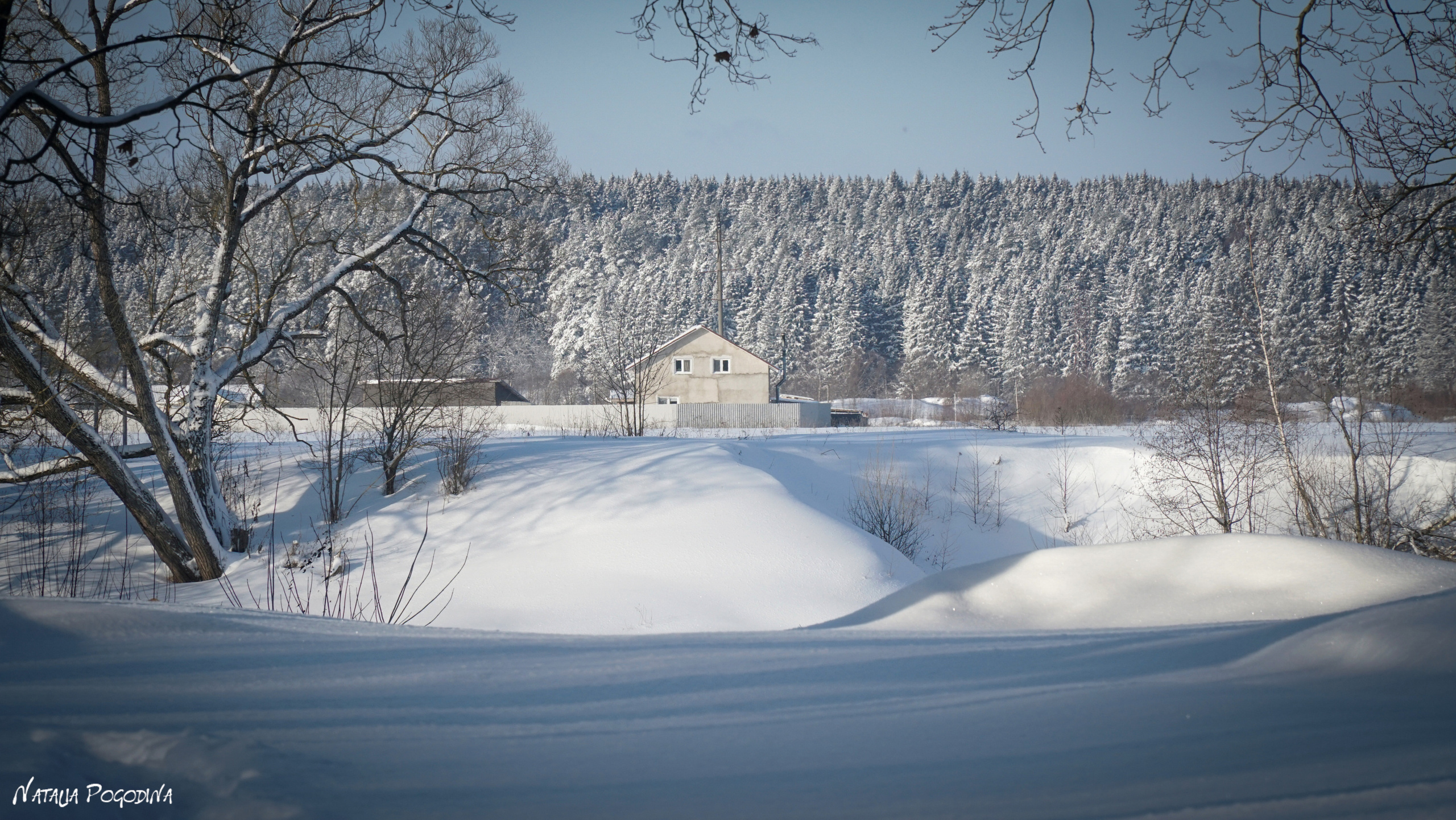ОБНИНСК. Фотограф Наталья Погодина в г. Обнинске