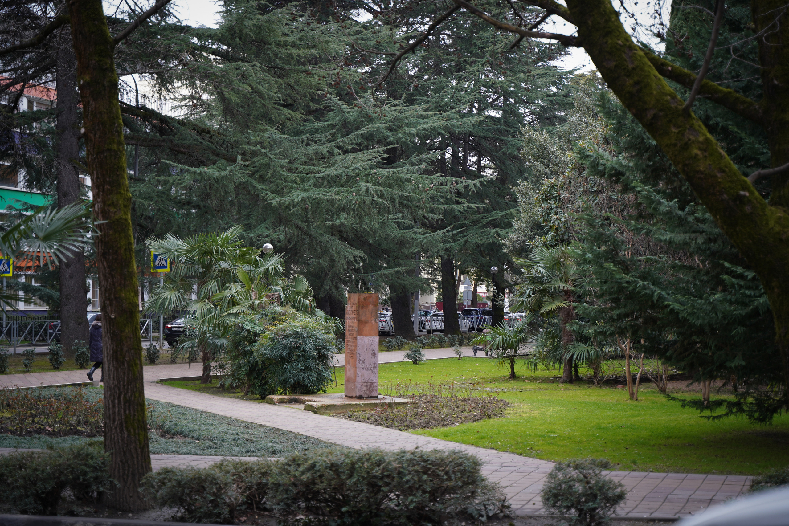 Фото Сочи 2023. Фотограф Наталья Погодина в г. Обнинске