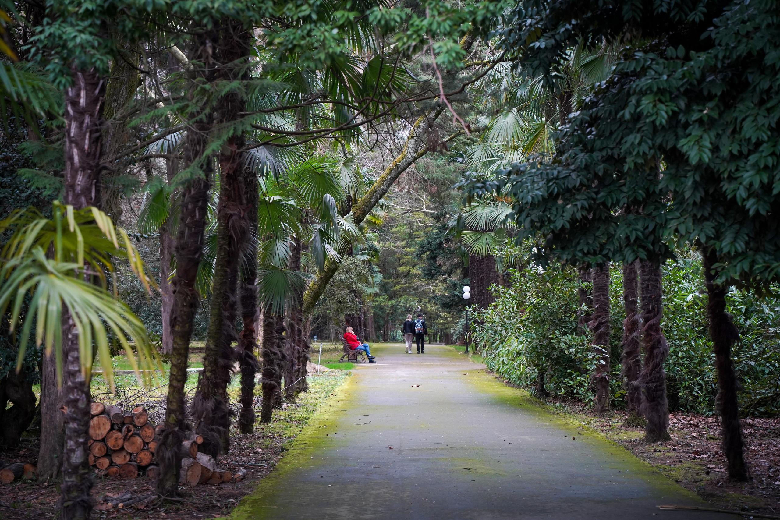 Фото Сочи 2023. Фотограф Наталья Погодина в г. Обнинске