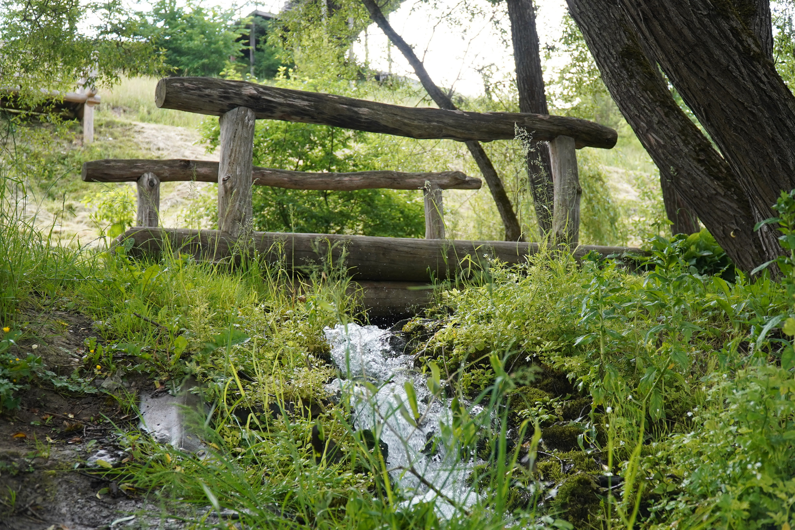 РУСИНОВО. Фотограф Наталья Погодина в г. Обнинске
