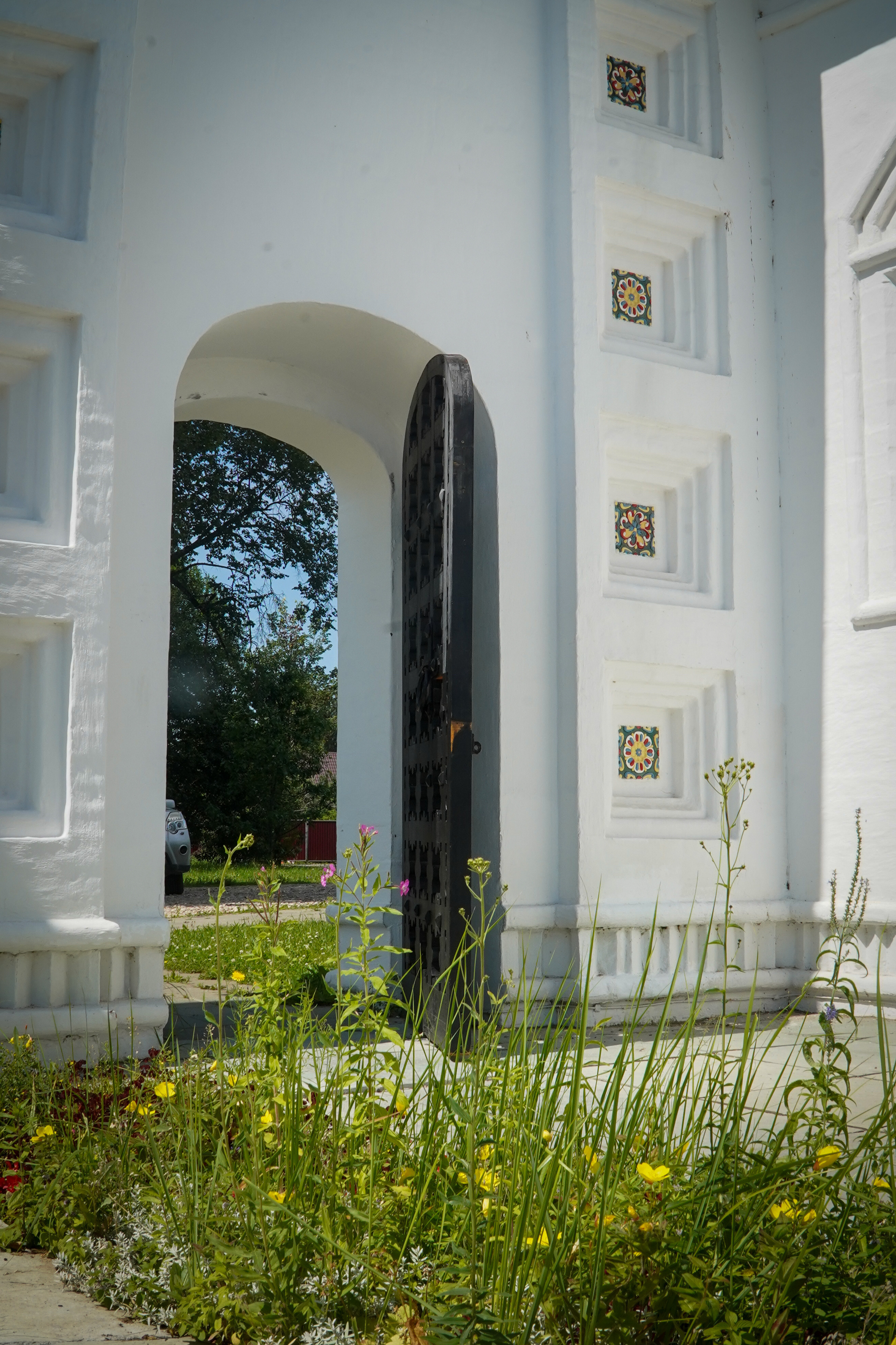 ВЕРЕЯ. Июль 2023. Фотограф Наталья Погодина в г. Обнинске