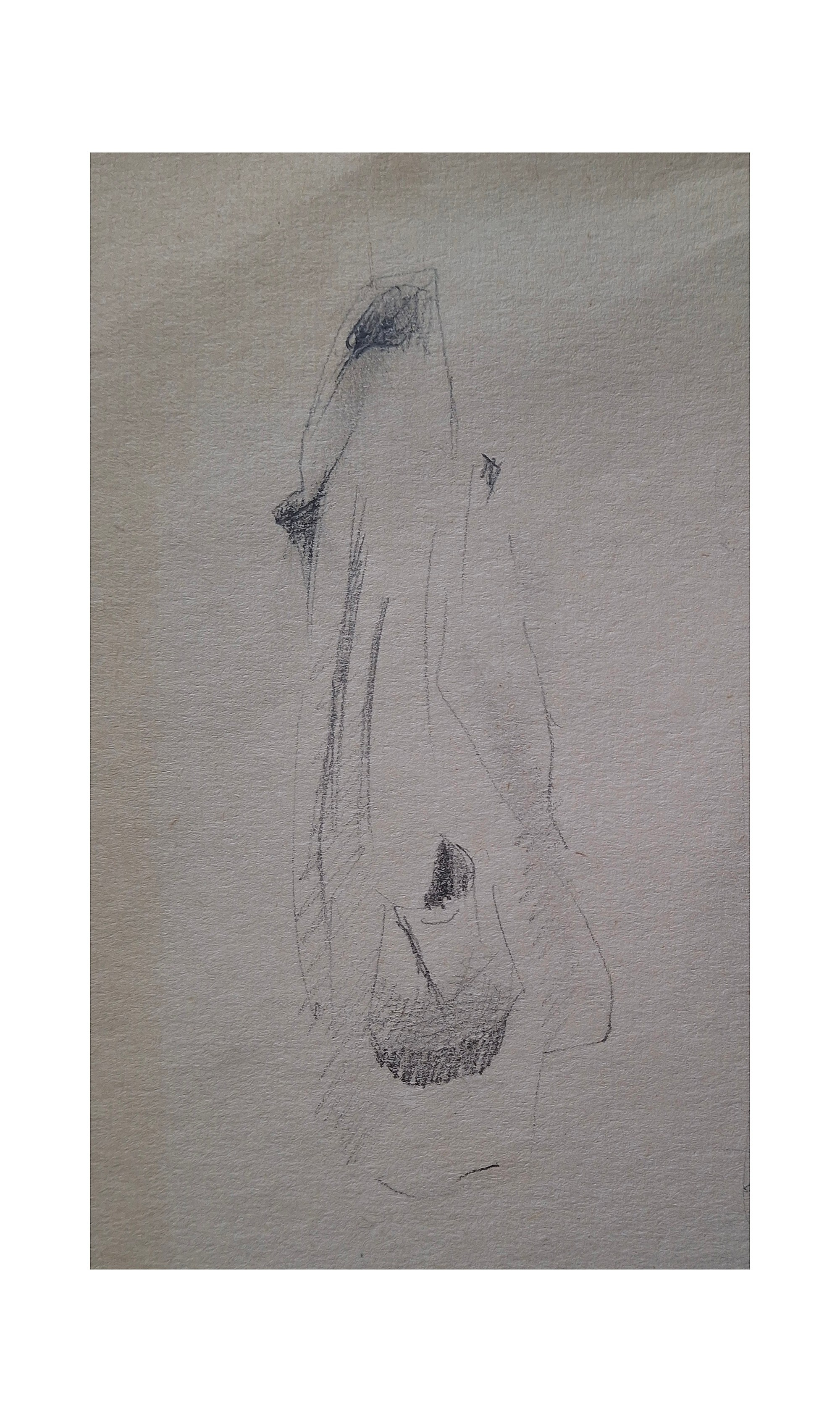 Arts & sketches. Max Matvich and Victoria Basova are professionals in their field