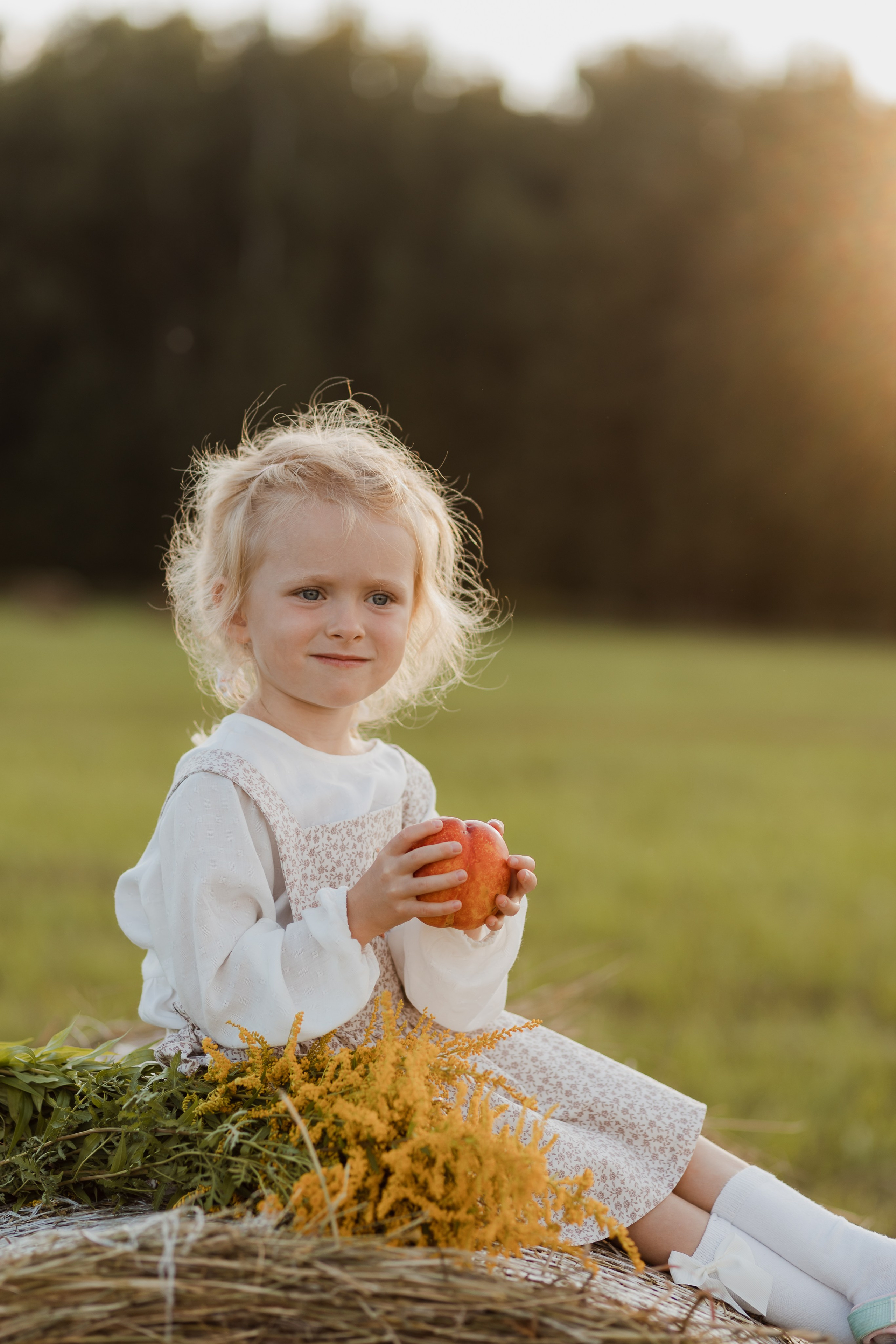 Семья Смирновых в поле с сеном. Семейный и детский фотограф в городе Подолск МО Крылова Ирина