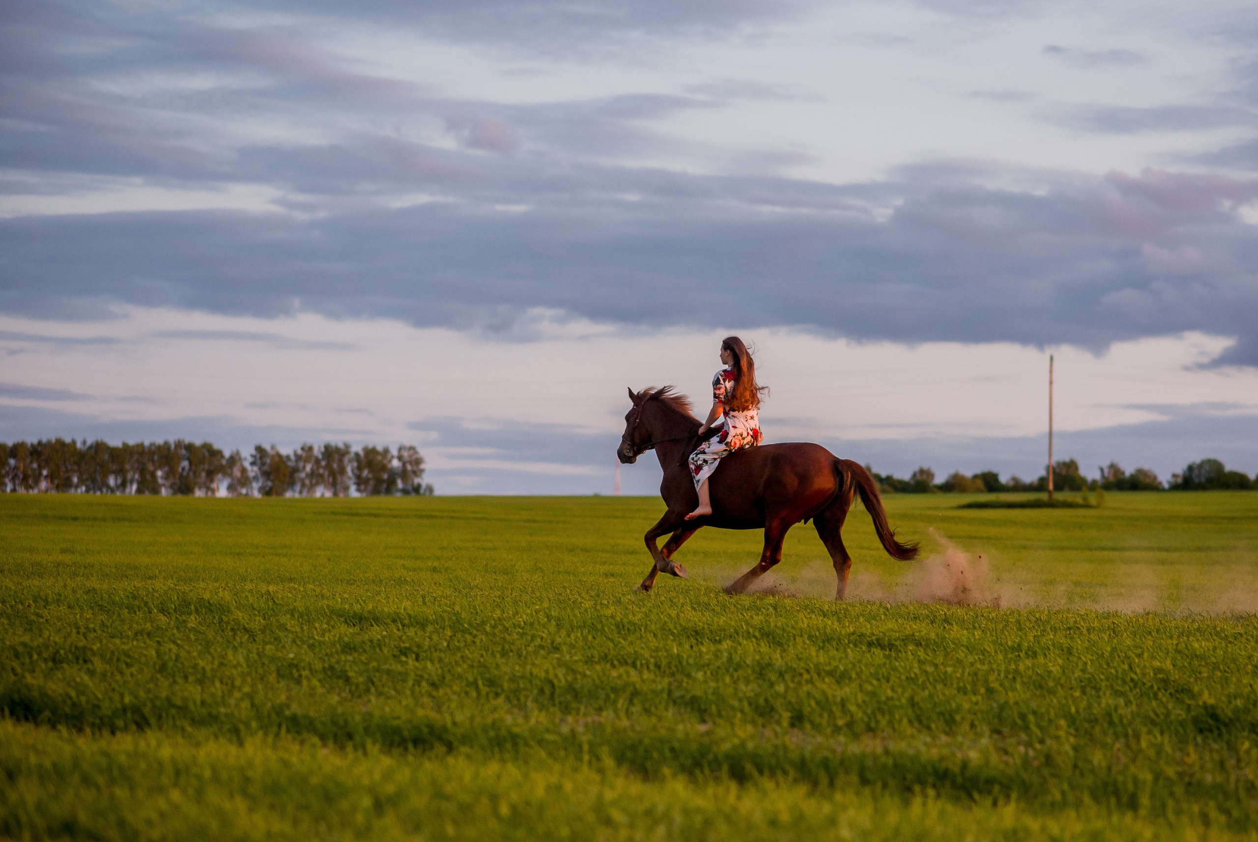Лиза и Рамина — 04.06.2023. Фотограф — Анималист | Анна Абрамова