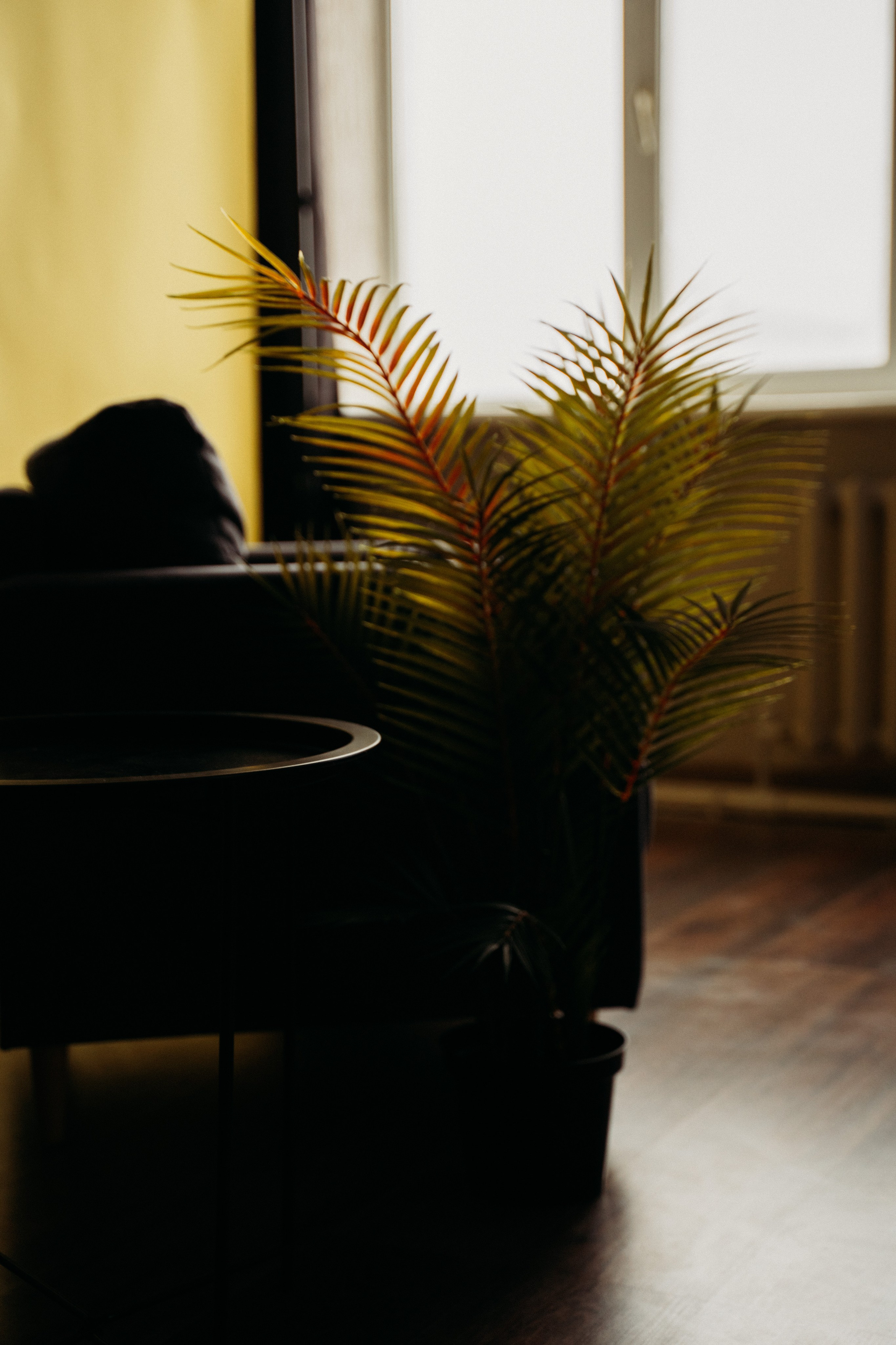 Студийные Локации