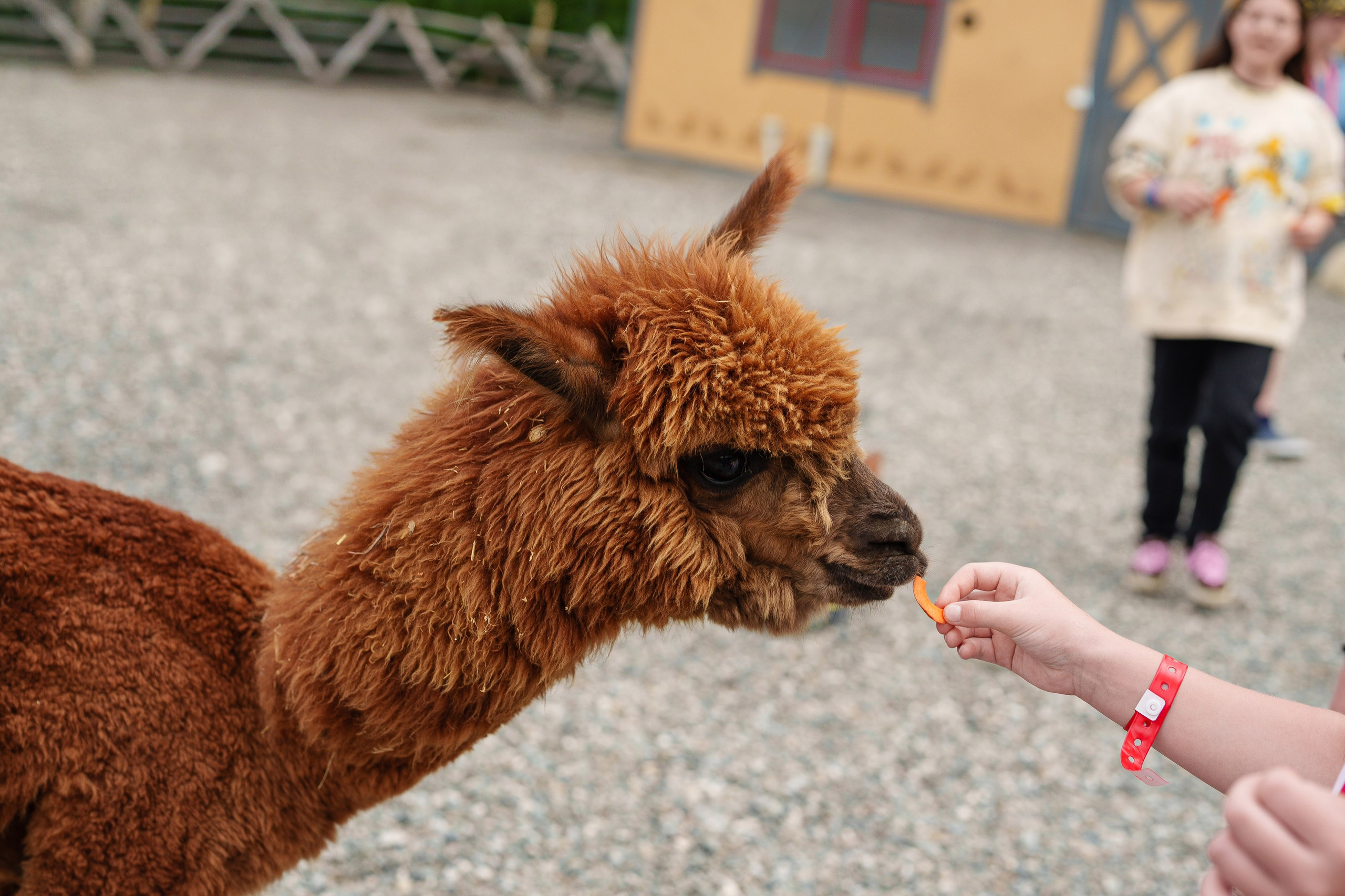 South HUB Family. South HUB