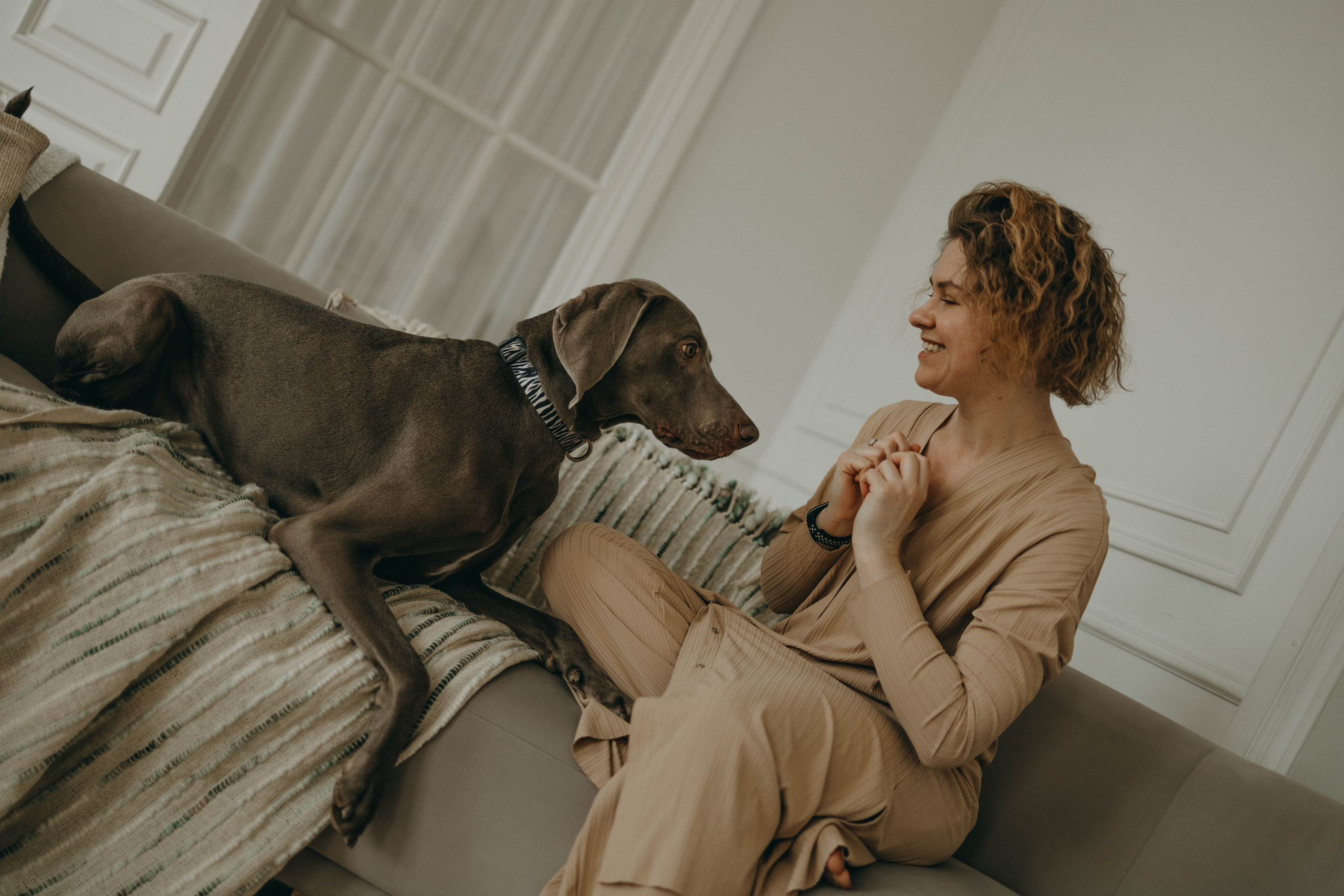 Фотосессия в студии с собакой. Фотограф-анималист в Екатеринбурге | Кристина