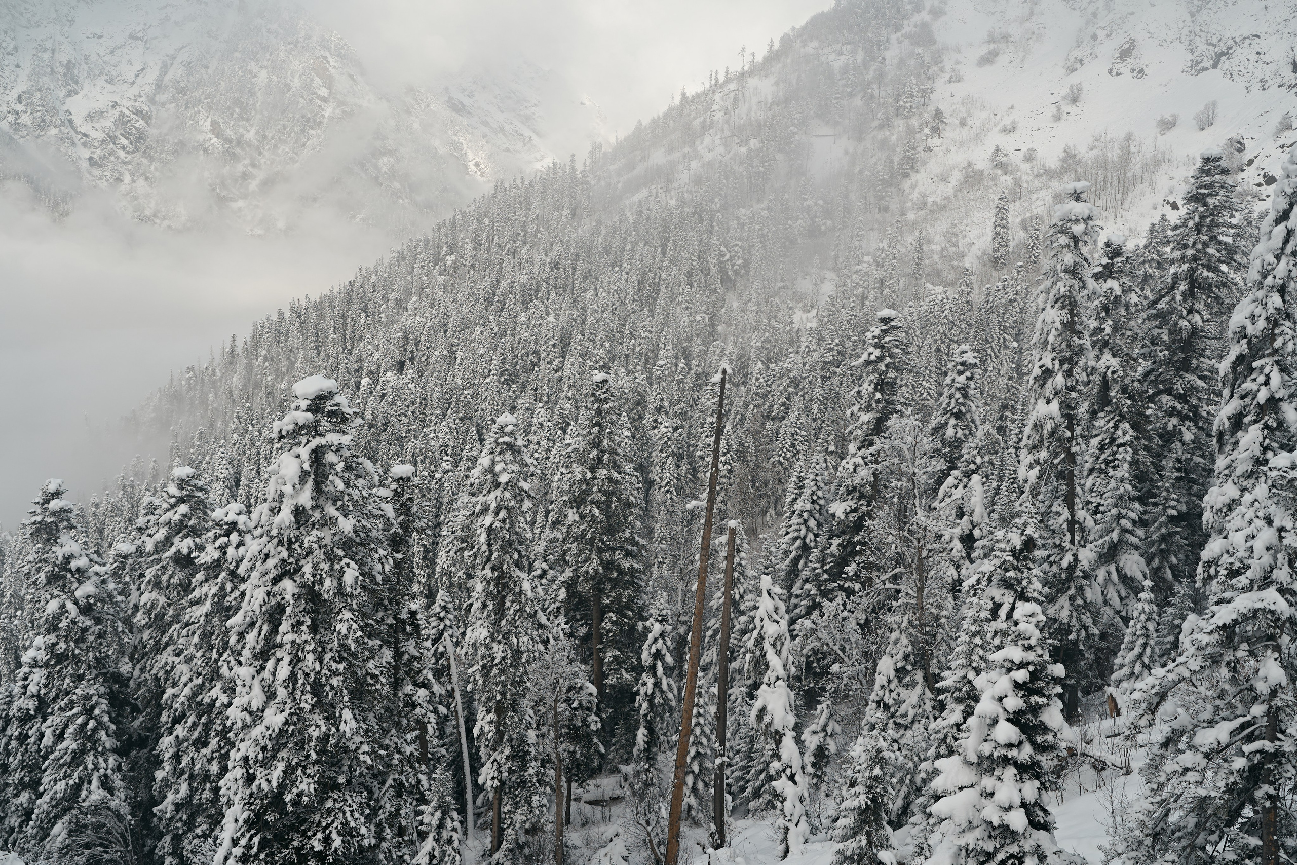 Блог. Фотограф и видеограф Елена Хмелевская